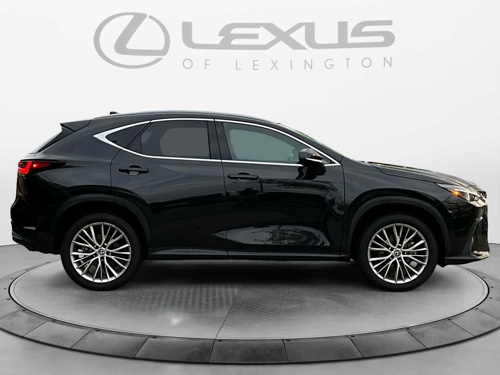 2024 Lexus NX Luxury 6