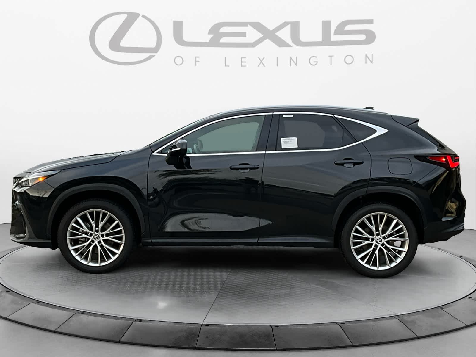 2024 Lexus NX Luxury 2