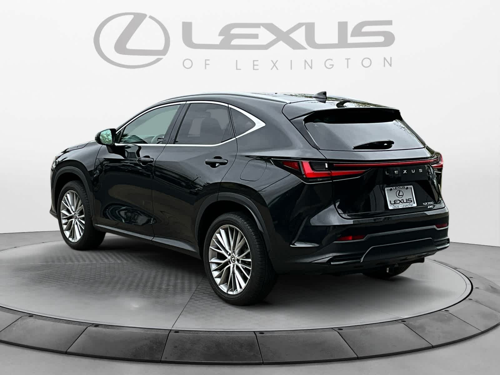 2024 Lexus NX Luxury 3