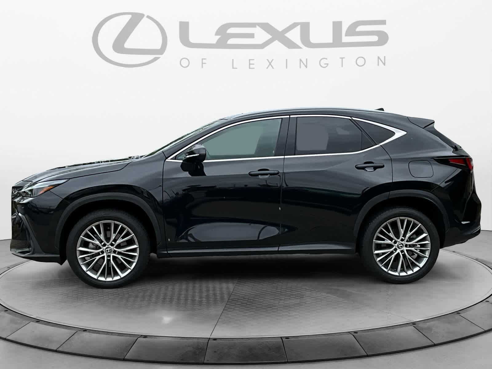 2024 Lexus NX Luxury 2