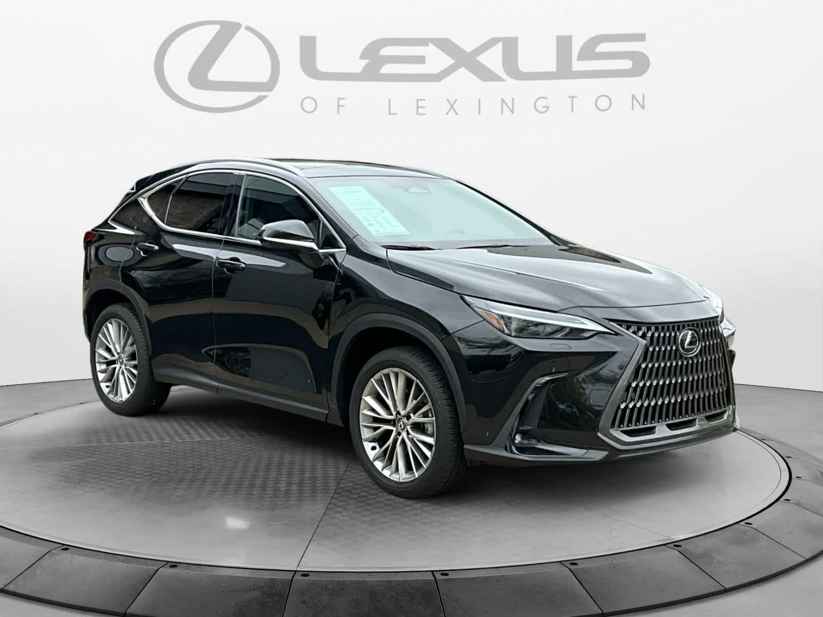 2024 Lexus NX Luxury 7