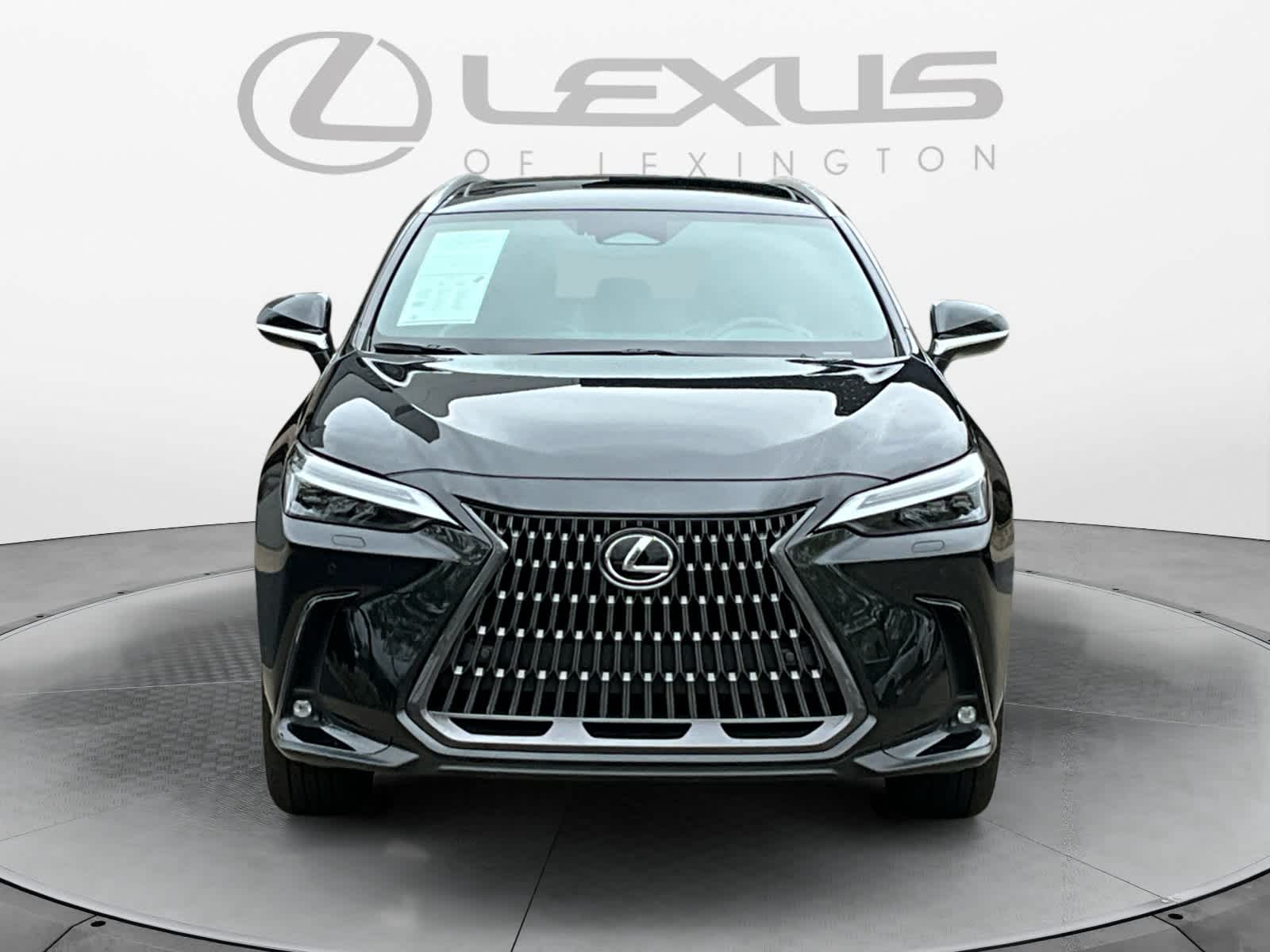 2024 Lexus NX Luxury 8