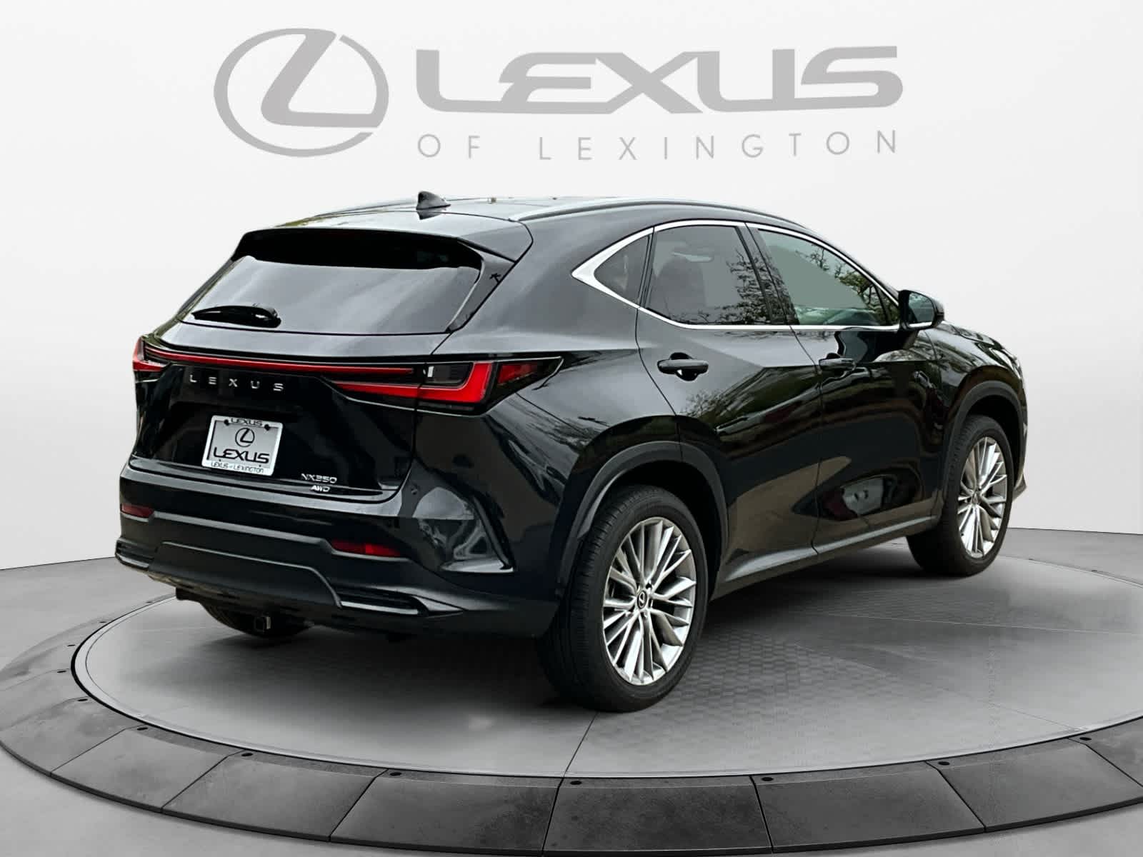 2024 Lexus NX Luxury 5