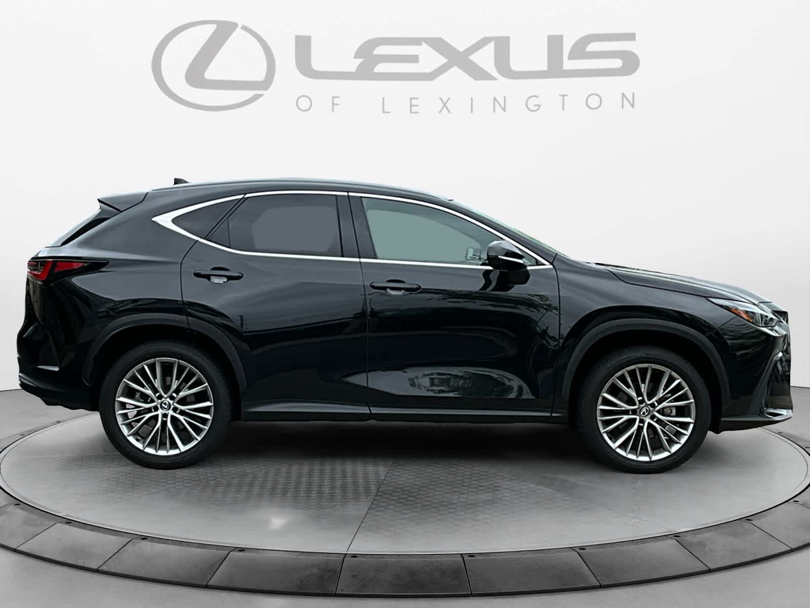 2024 Lexus NX Luxury 6