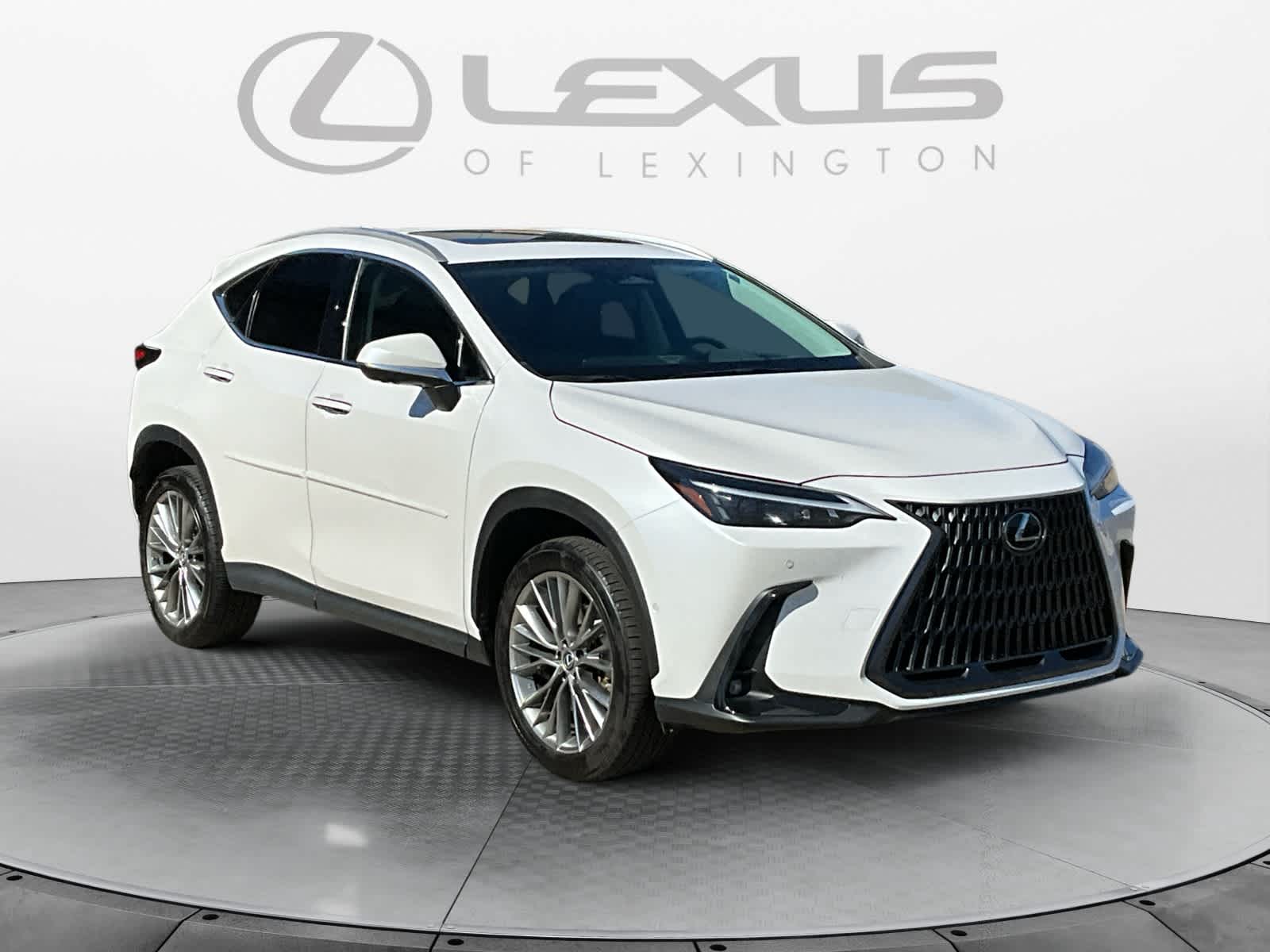 2022 Lexus NX Luxury 7