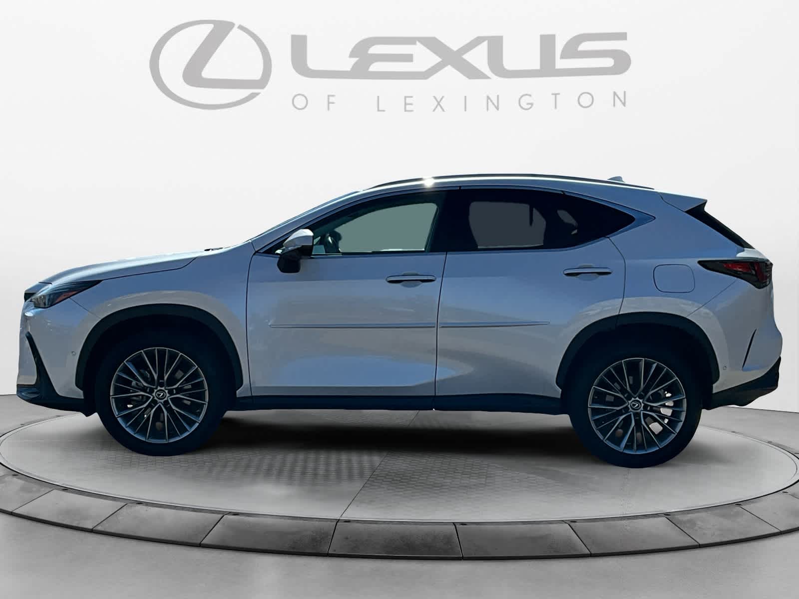 2022 Lexus NX Luxury 2