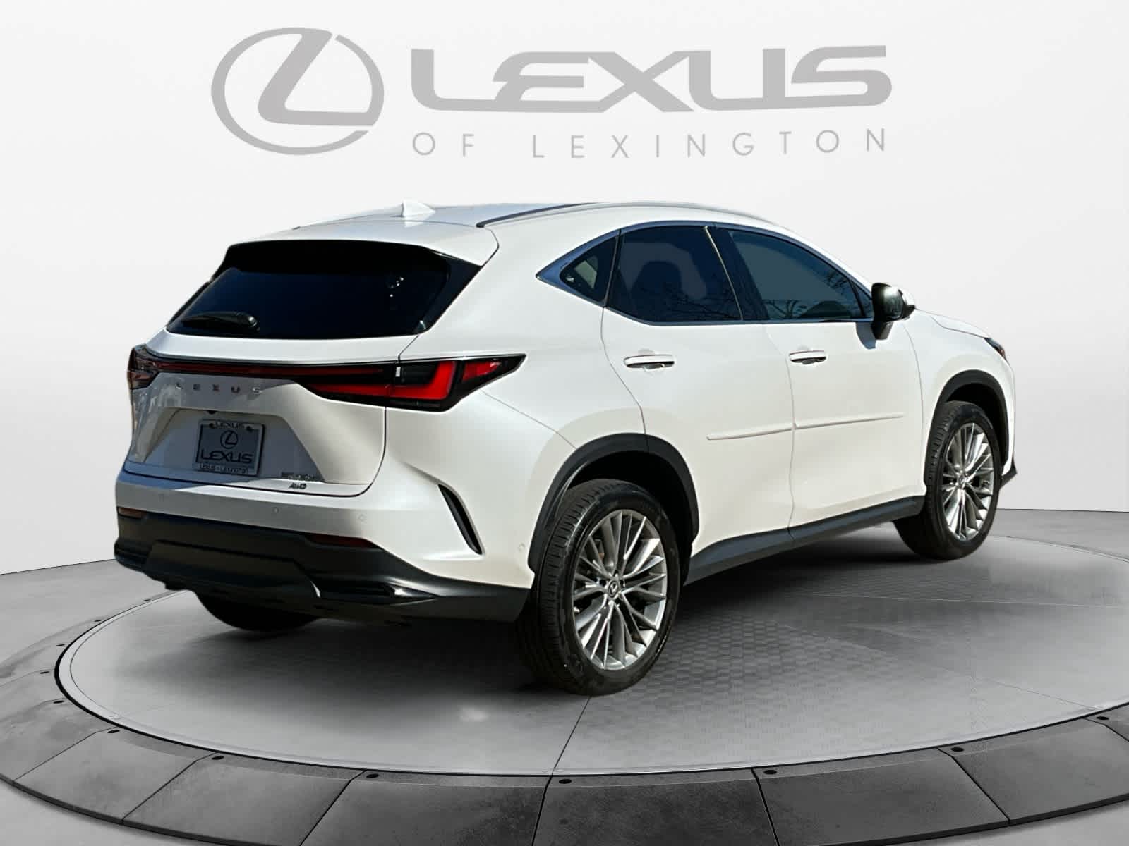 2022 Lexus NX Luxury 5