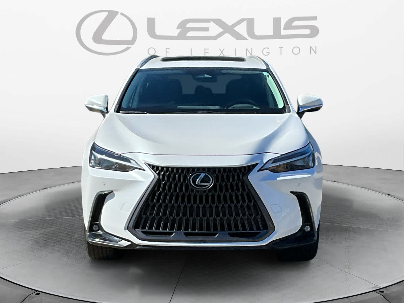 2022 Lexus NX Luxury 8