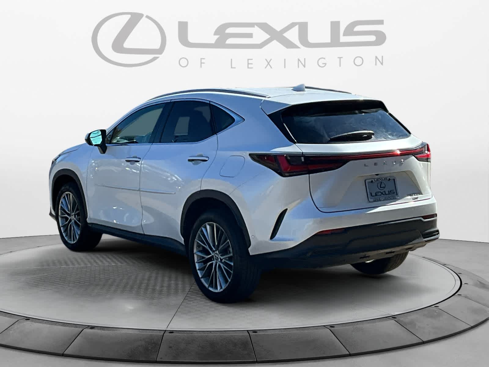 2022 Lexus NX Luxury 3