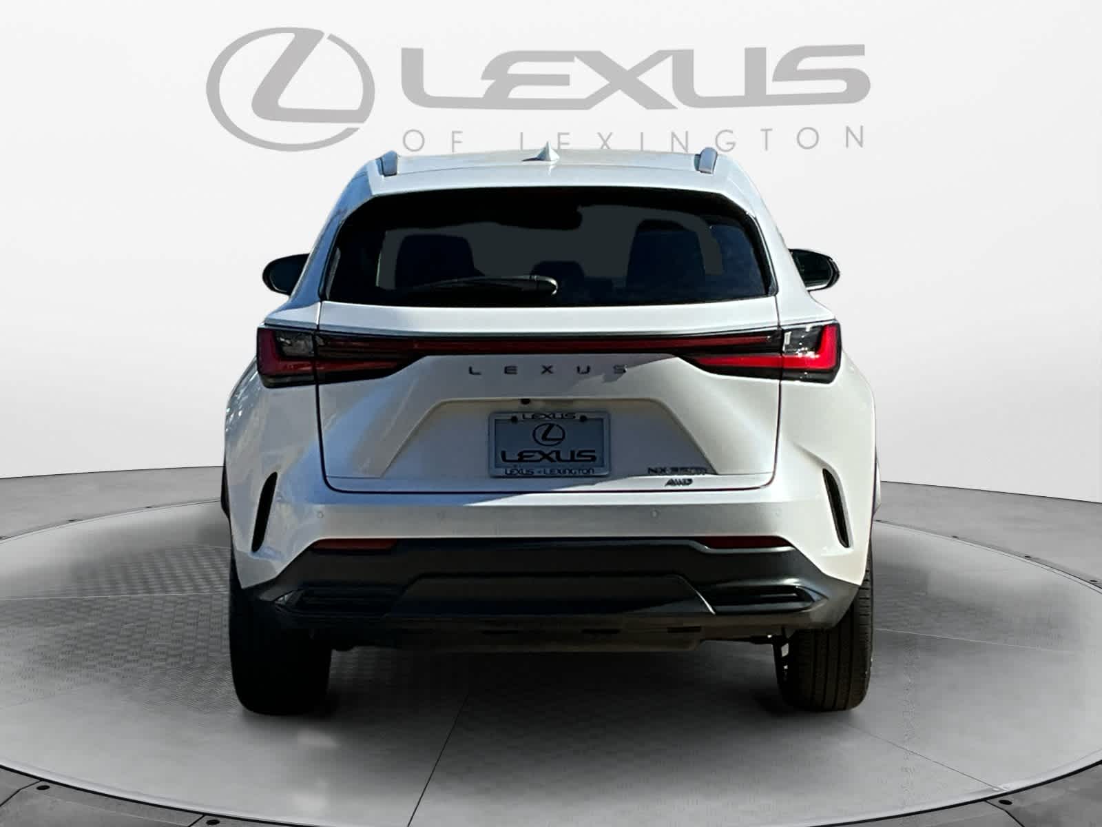 2022 Lexus NX Luxury 4