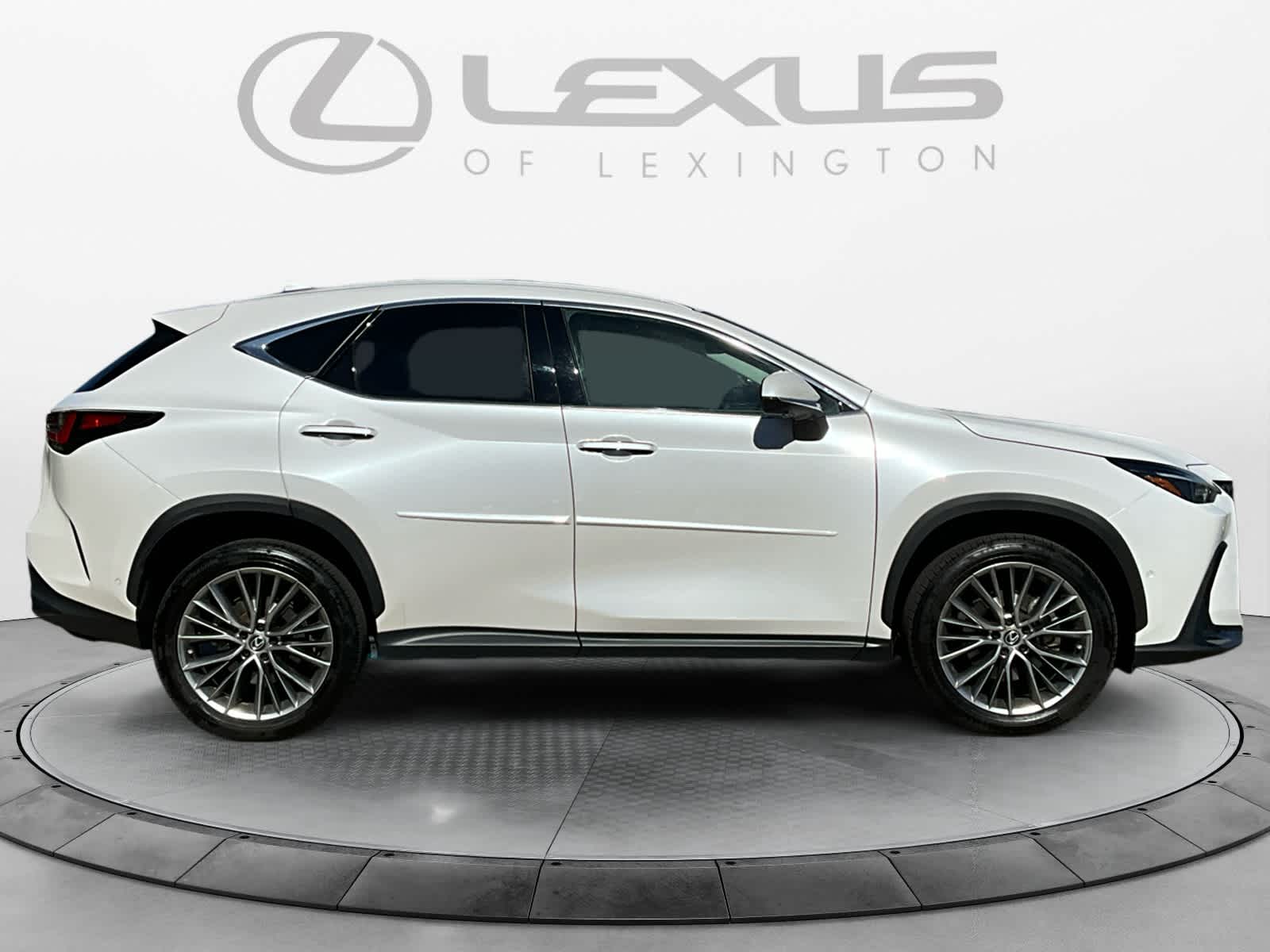 2022 Lexus NX Luxury 6