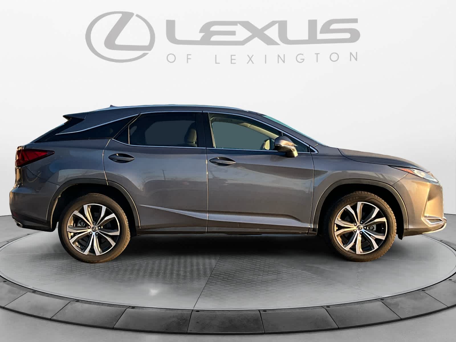 2021 Lexus RX  6