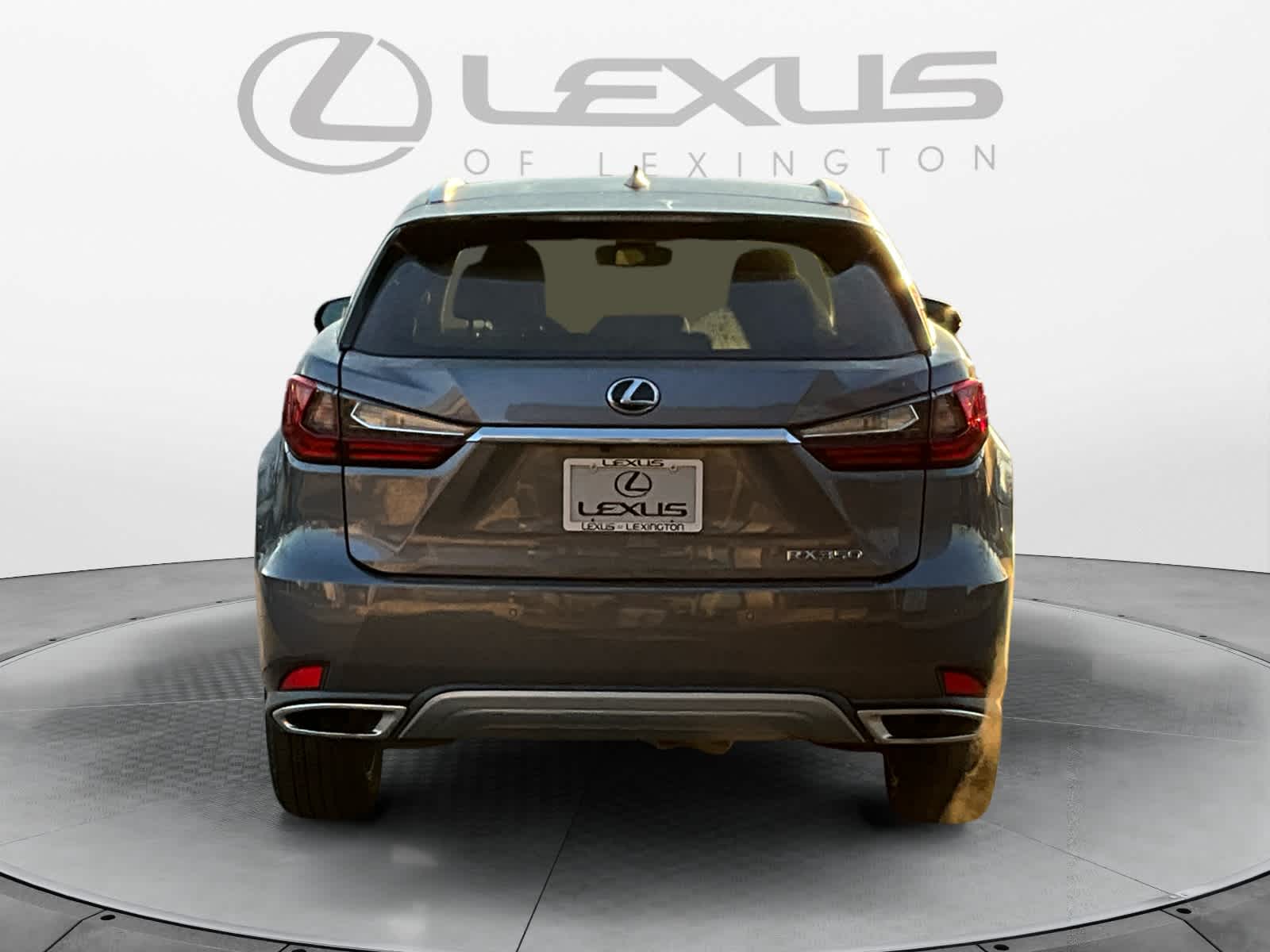 2021 Lexus RX  4