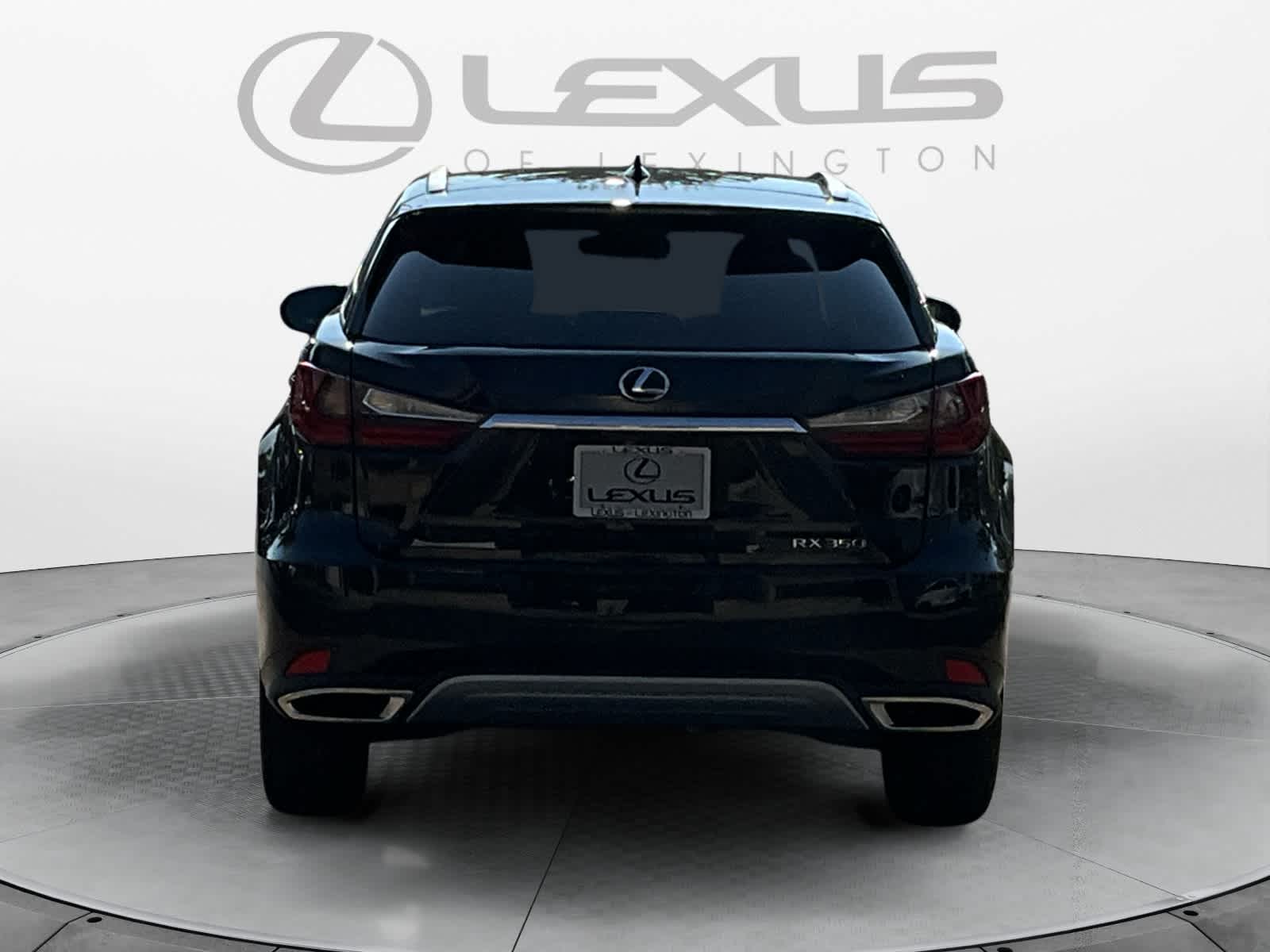 2022 Lexus RX  4