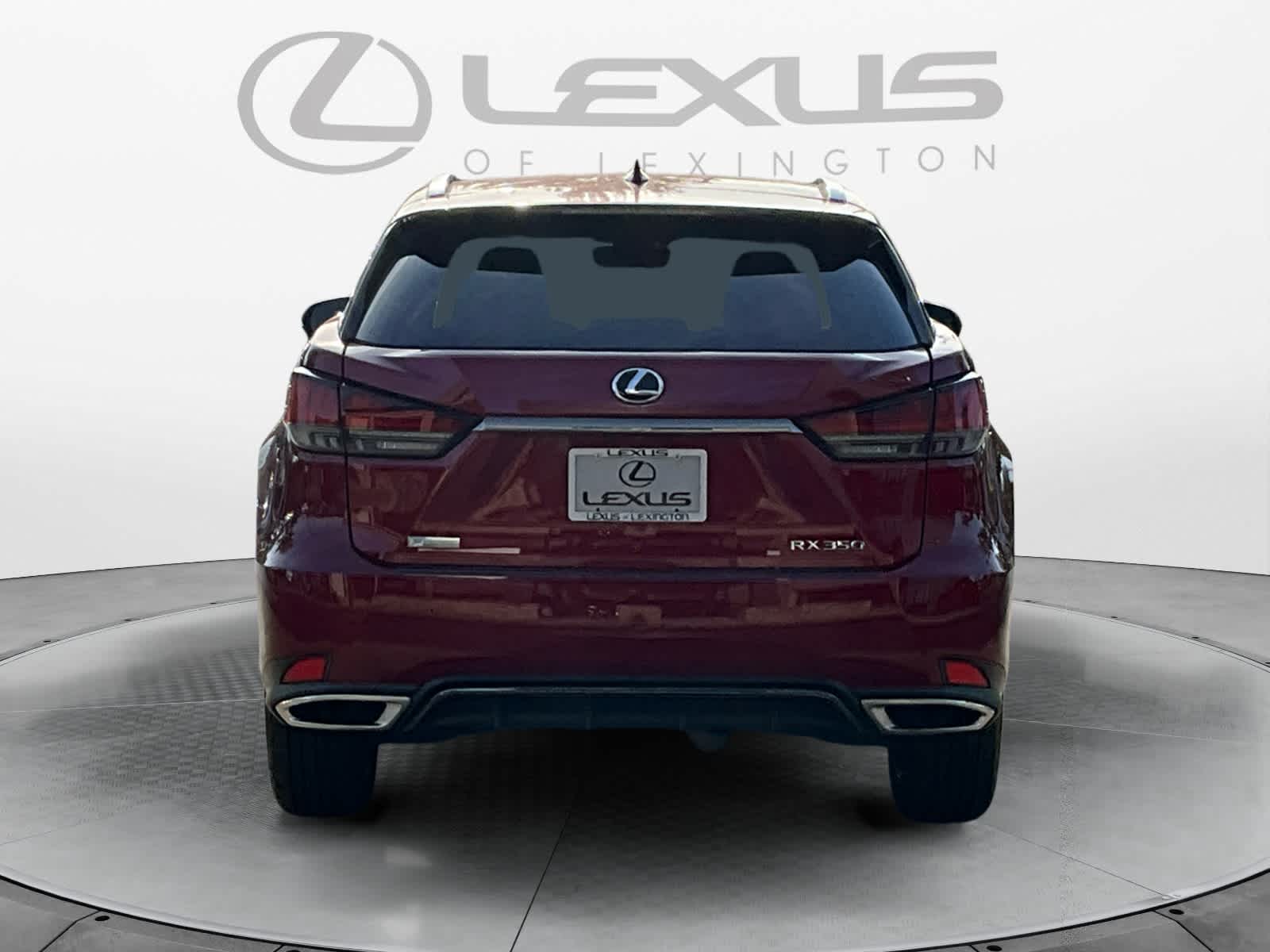 2022 Lexus RX F SPORT Appearance 4