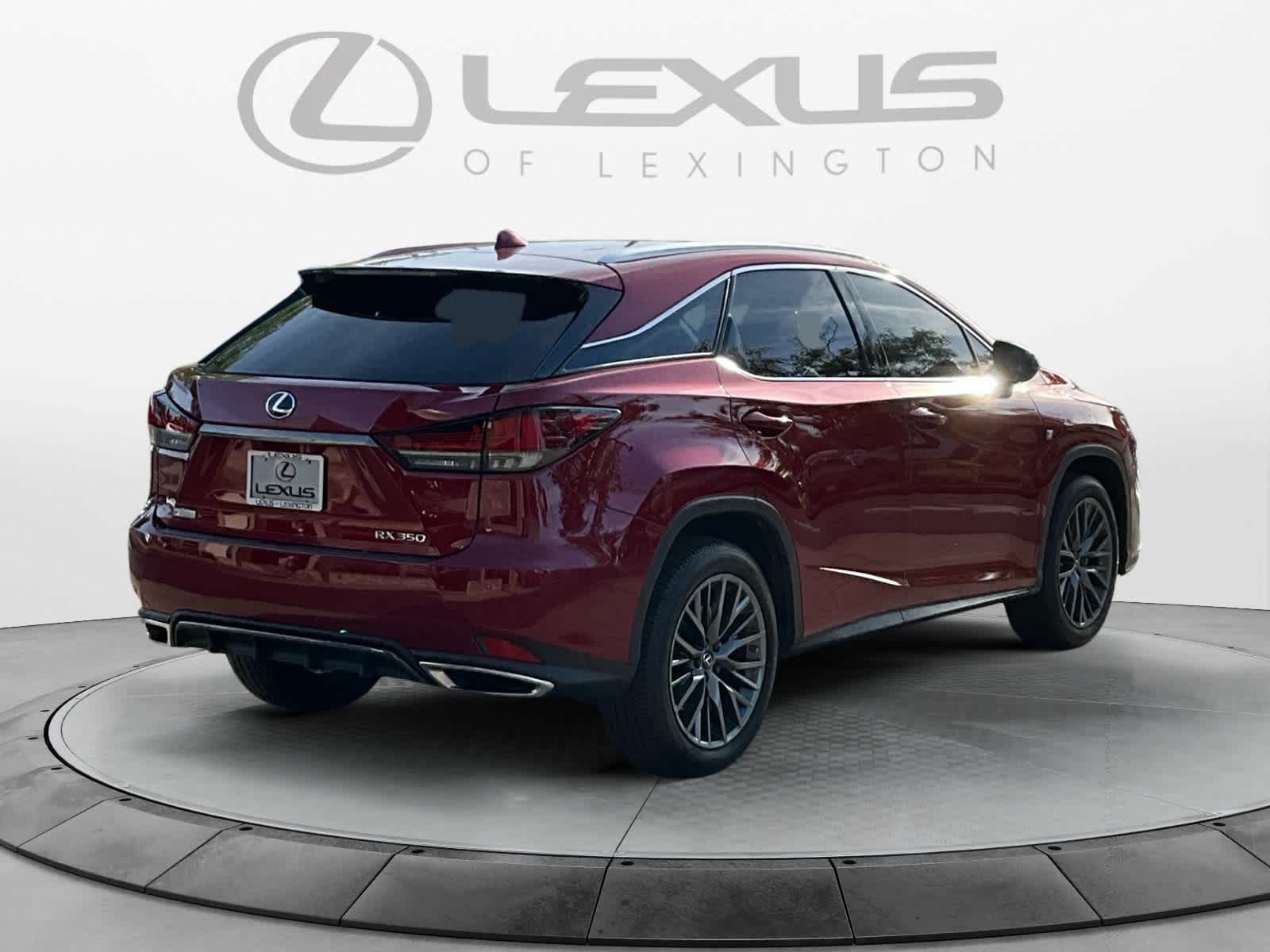 2022 Lexus RX F SPORT Appearance 5