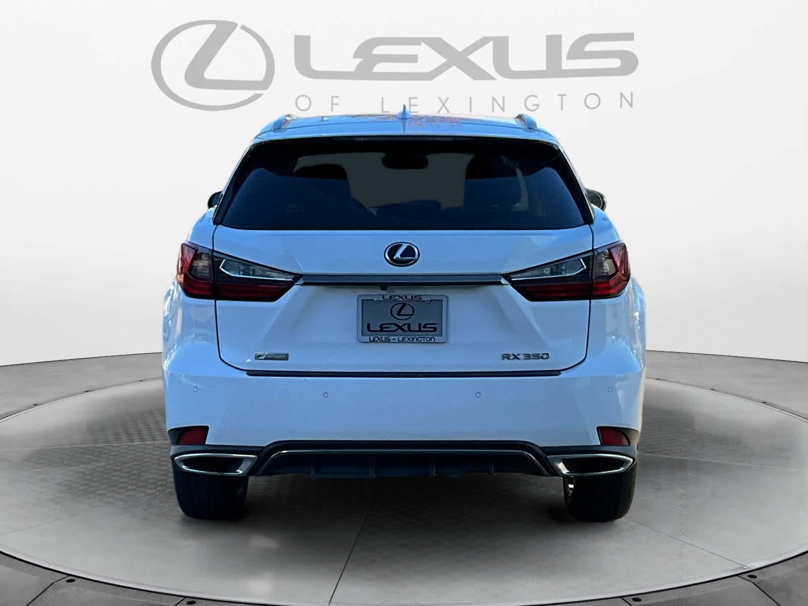 2022 Lexus RX F SPORT Appearance 4