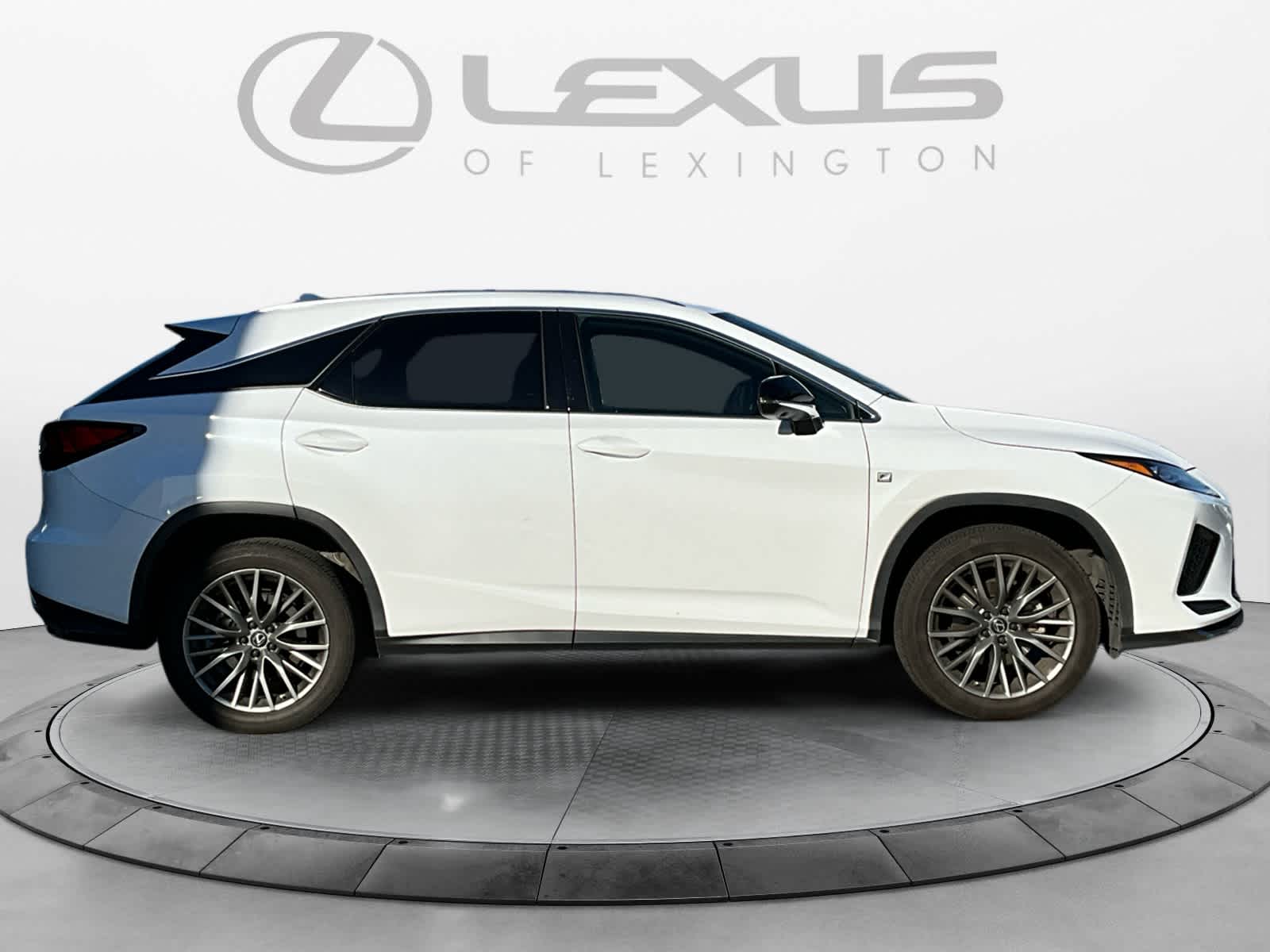 2022 Lexus RX F SPORT Appearance 6