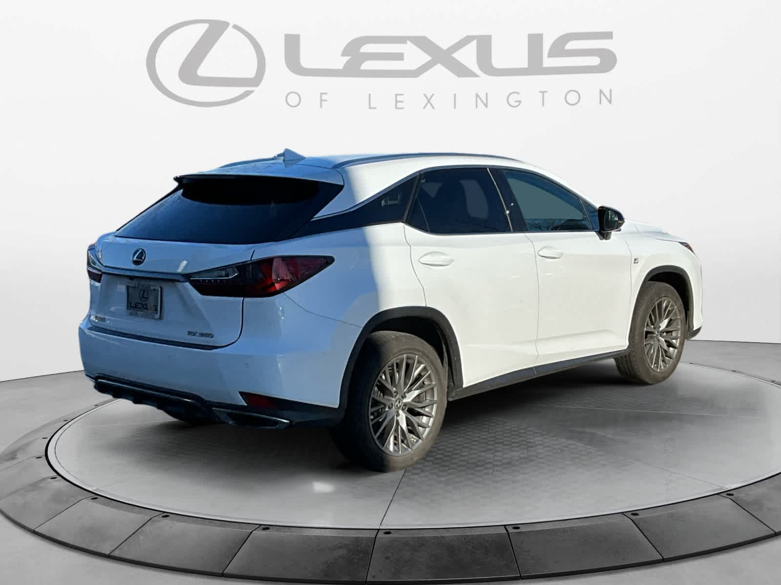 2022 Lexus RX F SPORT Appearance 5