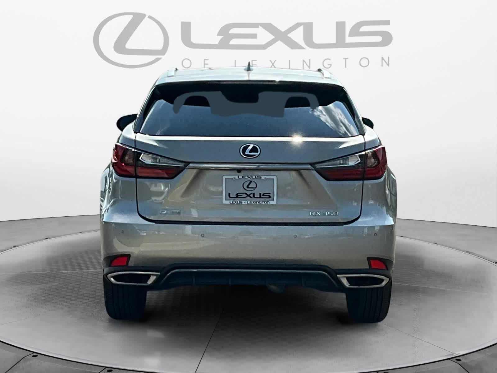 2022 Lexus RX F SPORT Appearance 4