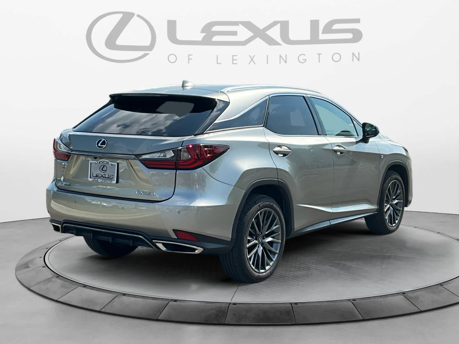 2022 Lexus RX F SPORT Appearance 5