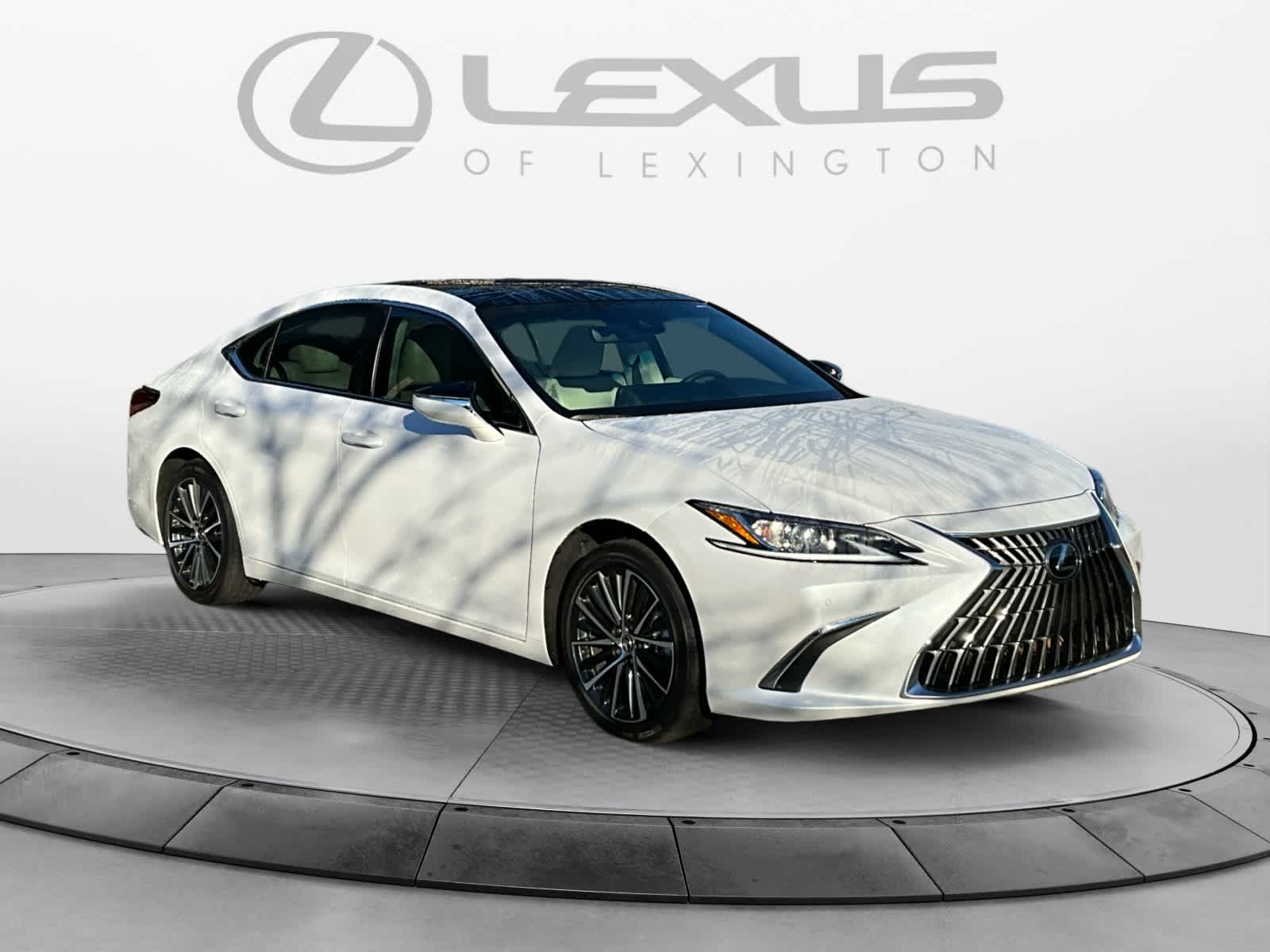 2023 Lexus ES  7