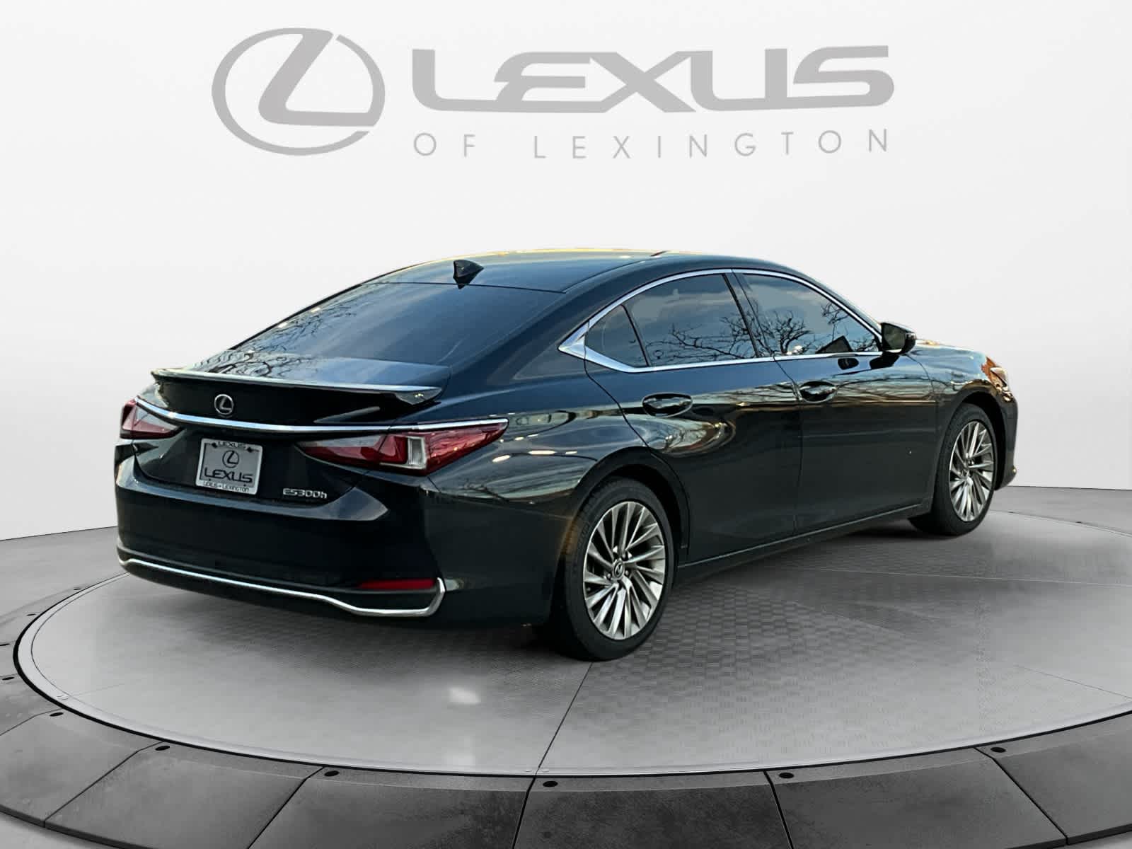 2023 Lexus ES Luxury 5