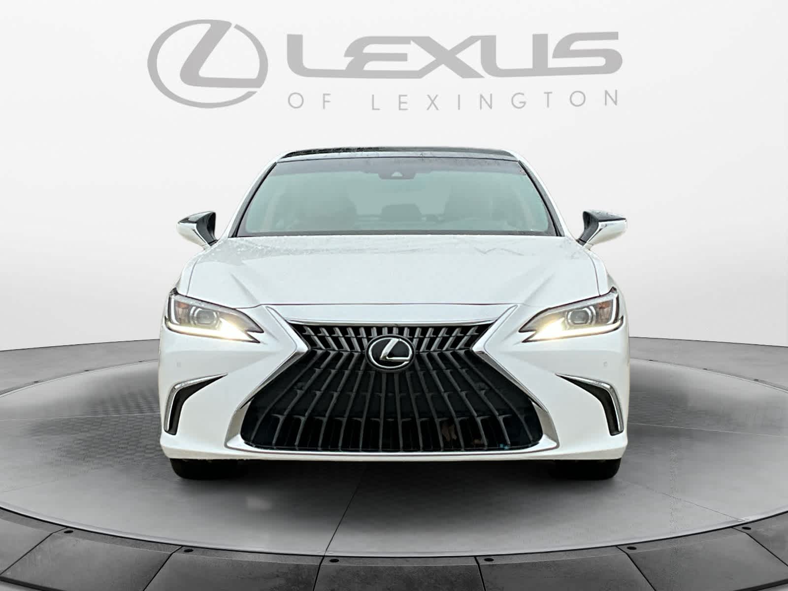 2023 Lexus ES Luxury 8