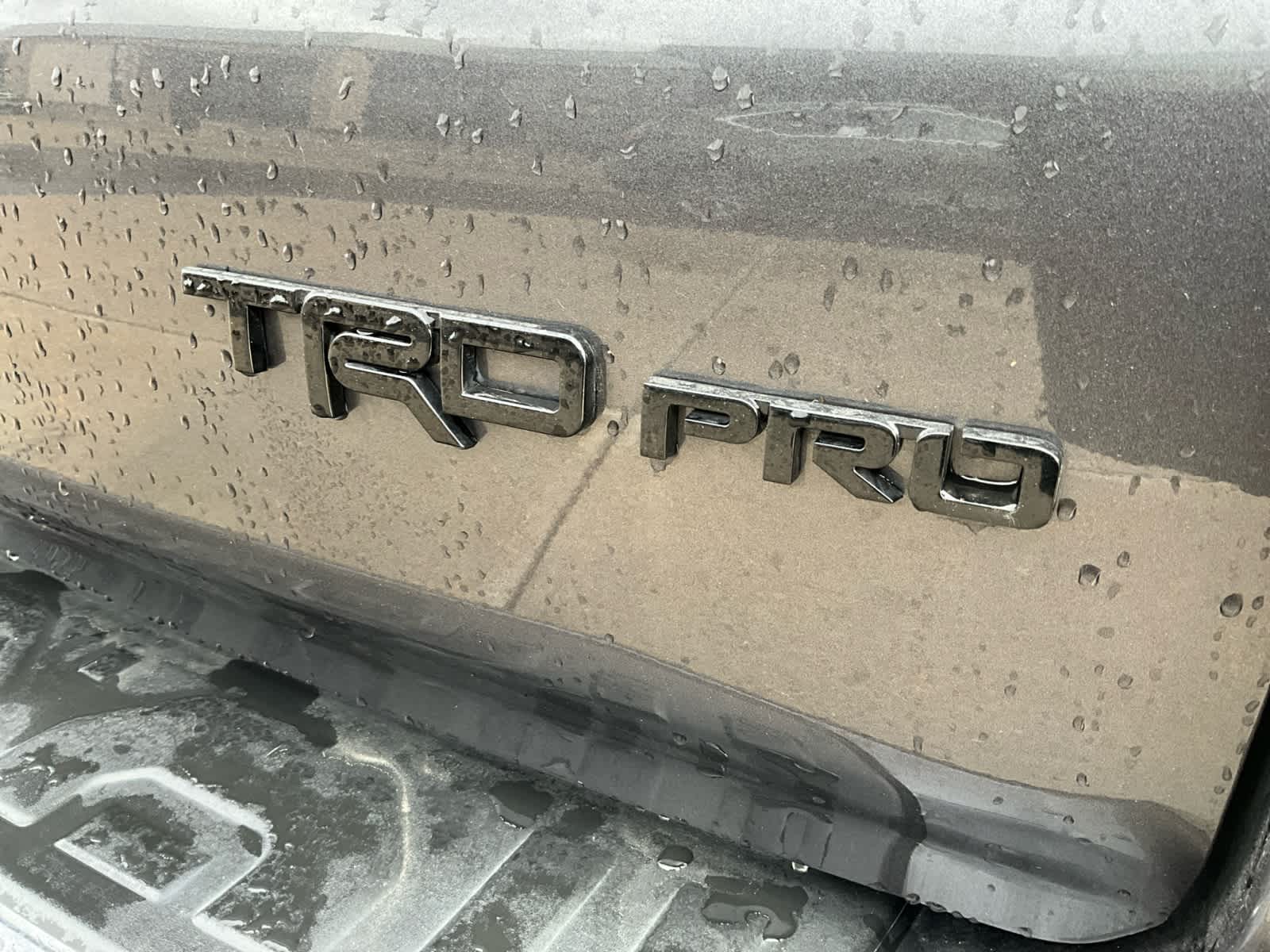 2022 Toyota 4Runner TRD Pro 17