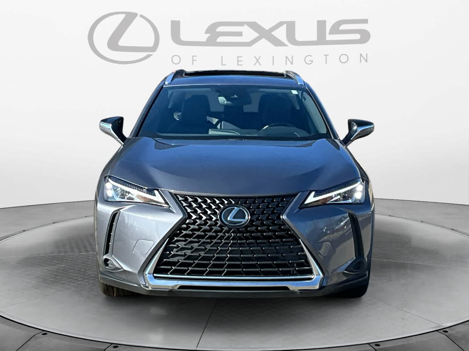 2020 Lexus UX UX 200 Luxury 8