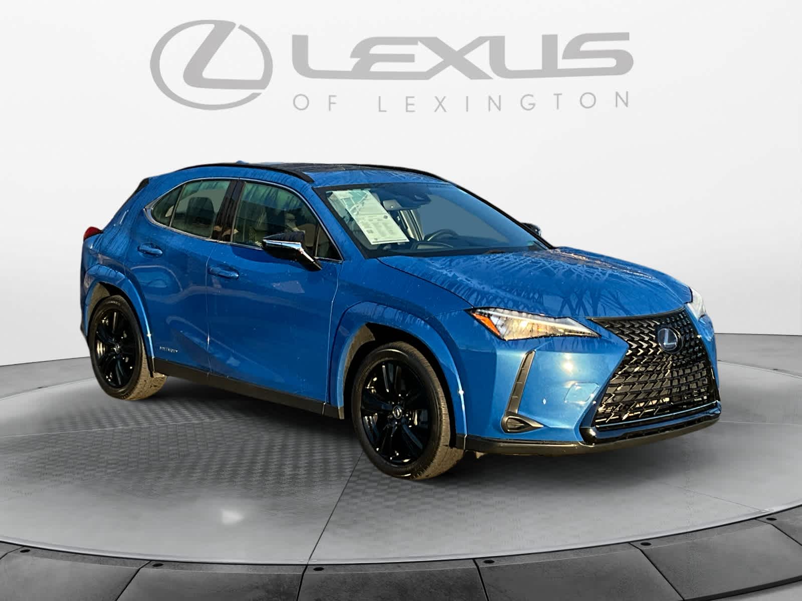 2021 Lexus UX UX 250h 7