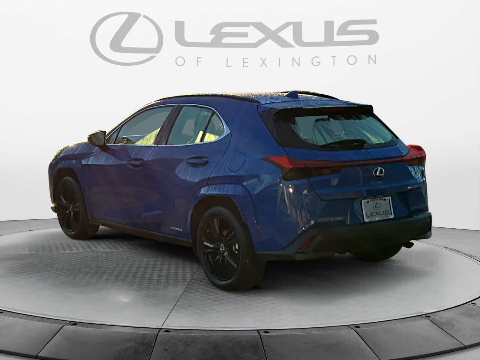 2021 Lexus UX UX 250h 3