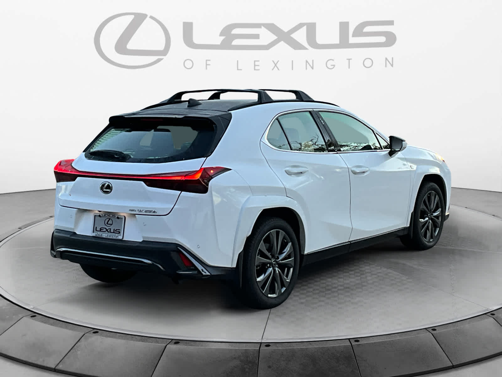 2023 Lexus UX UX 250h F SPORT Handling 5