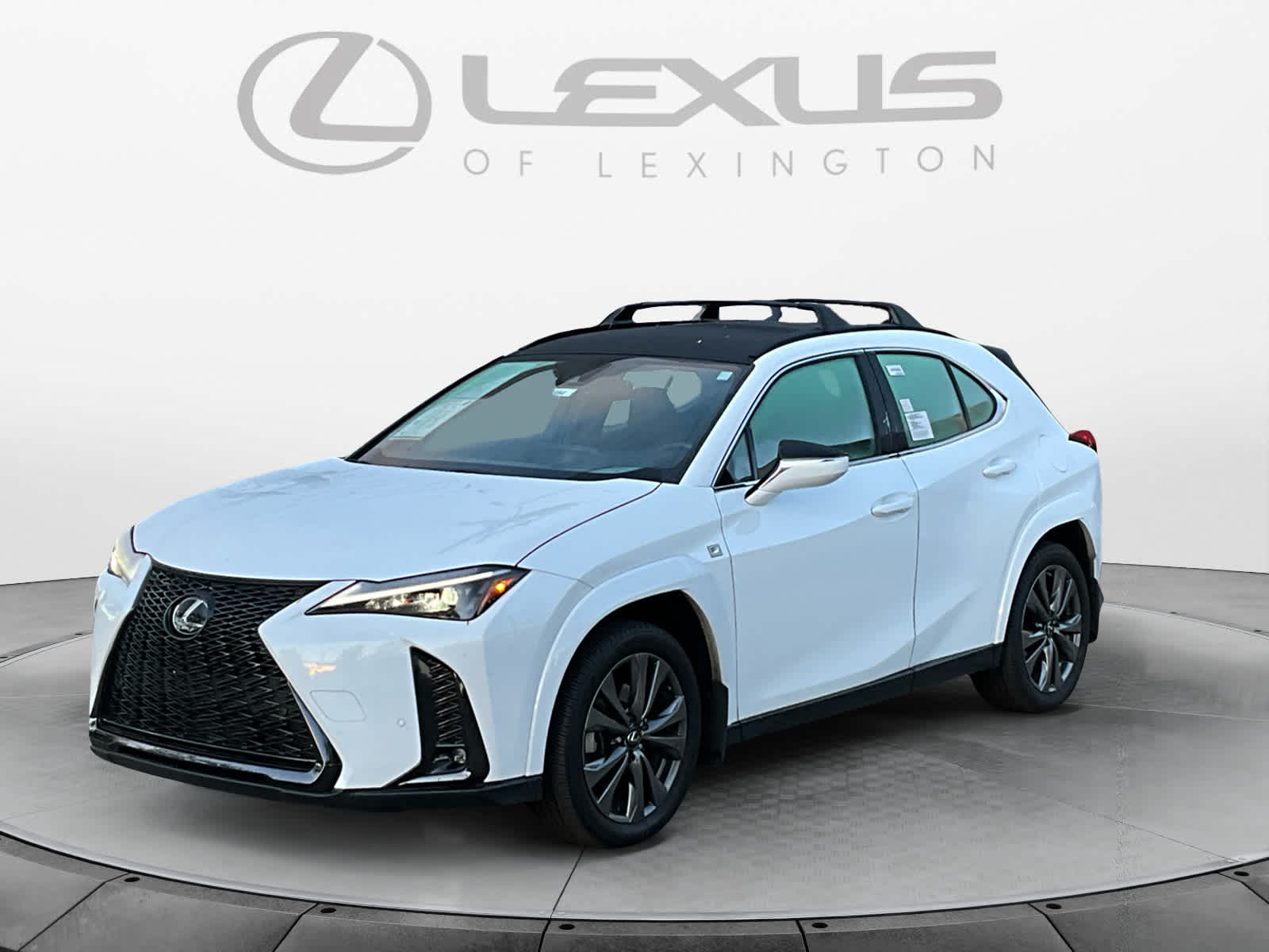 2023 Lexus UX UX 250h F SPORT Handling 1