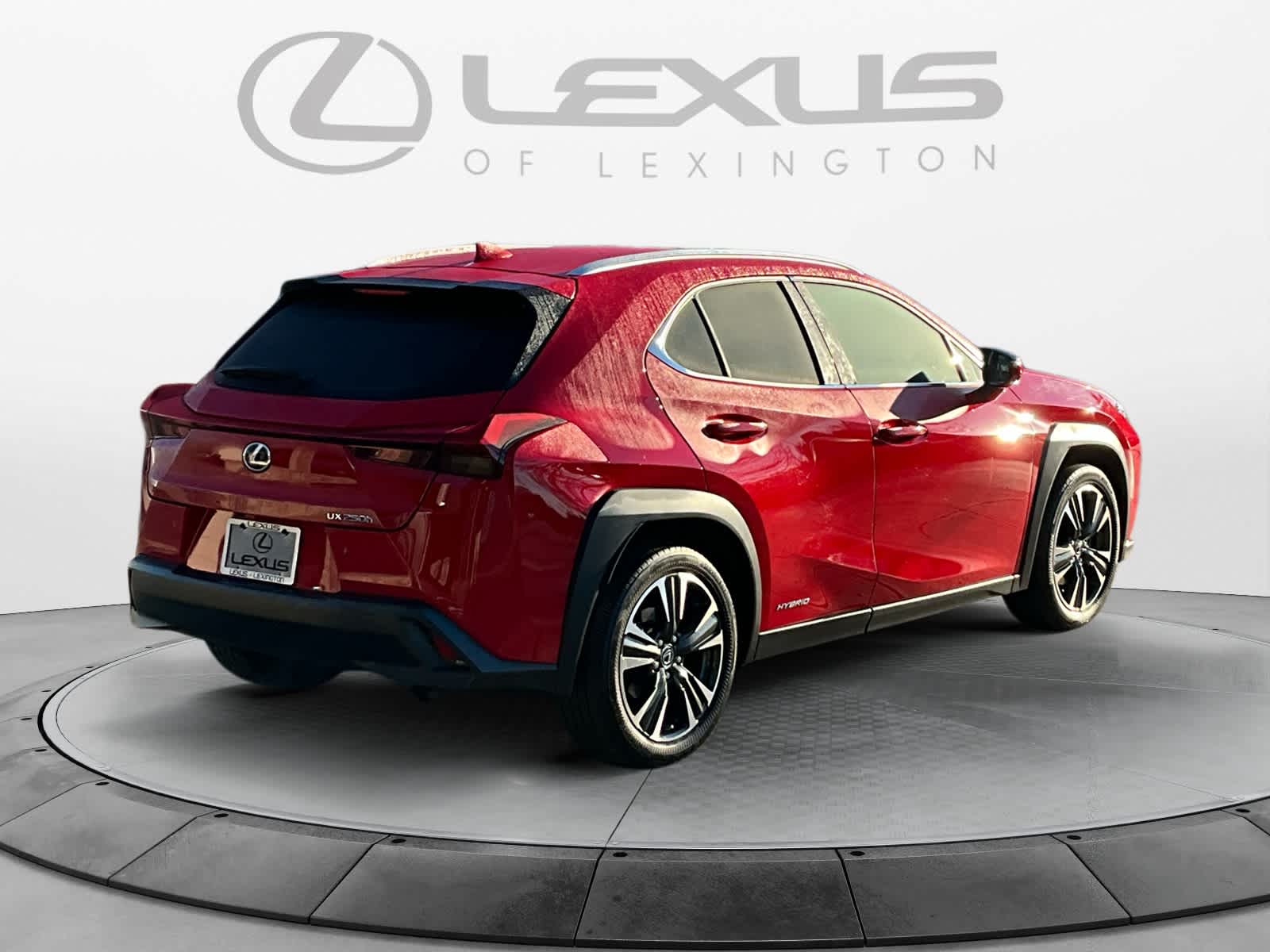 2019 Lexus UX UX 250h 5