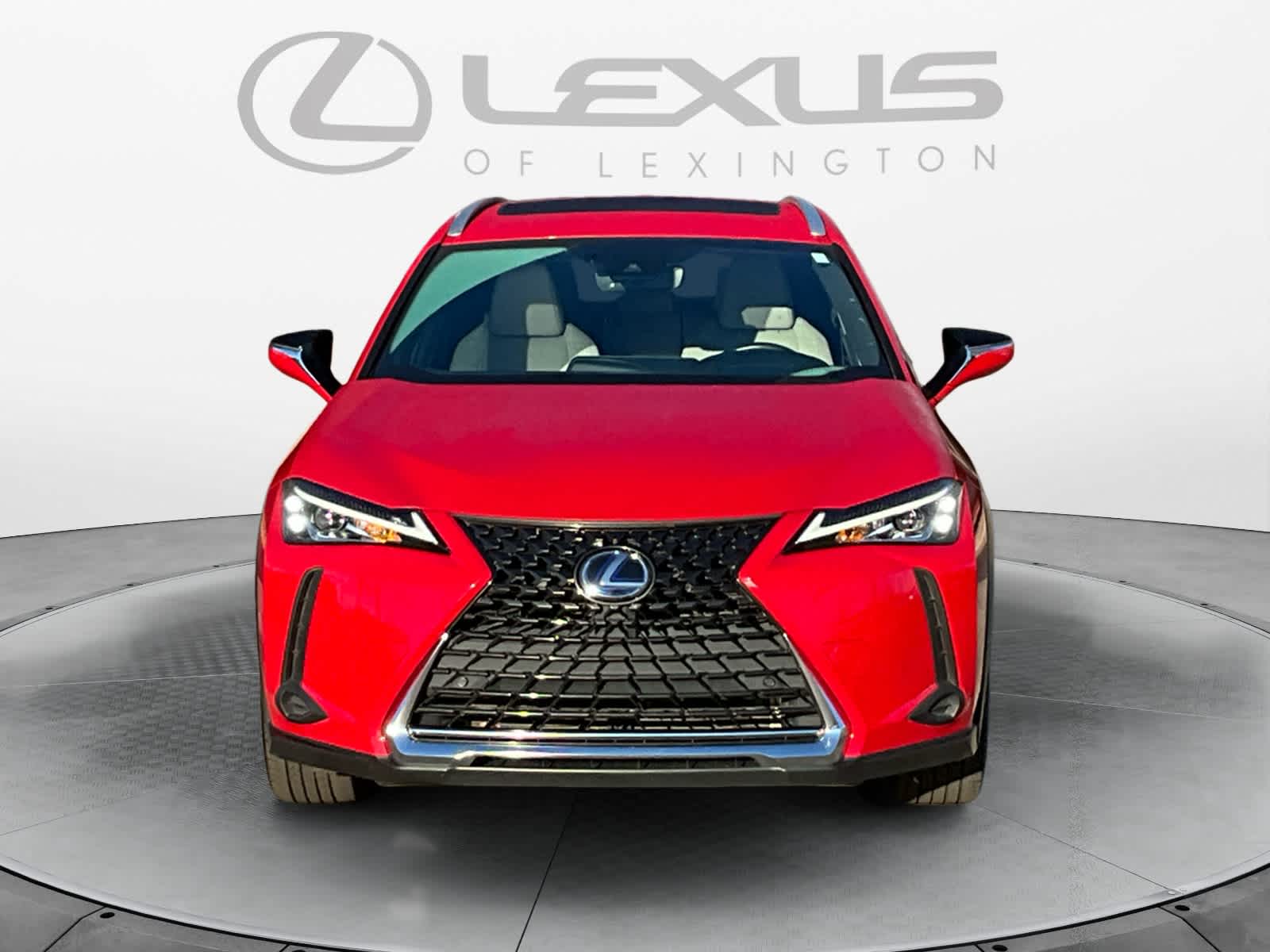 2019 Lexus UX UX 250h 8