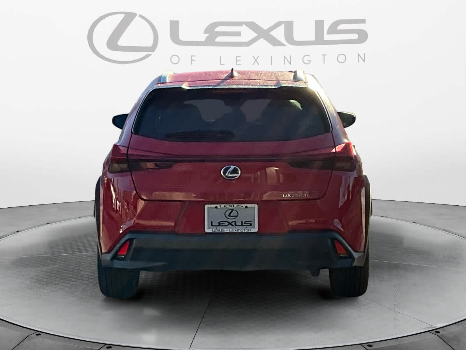 2019 Lexus UX UX 250h 4