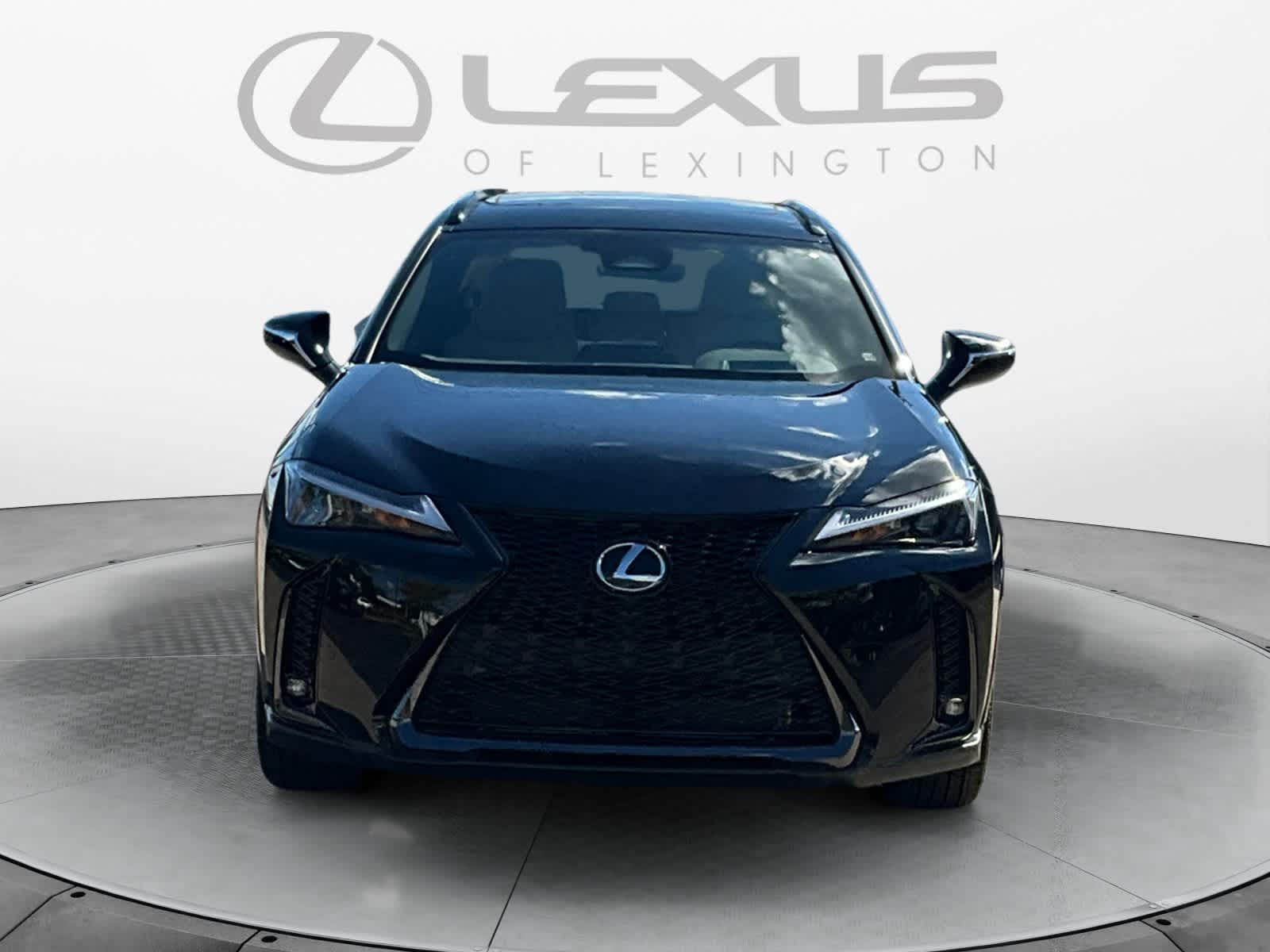 2025 Lexus UX UX 300h F SPORT Design 8