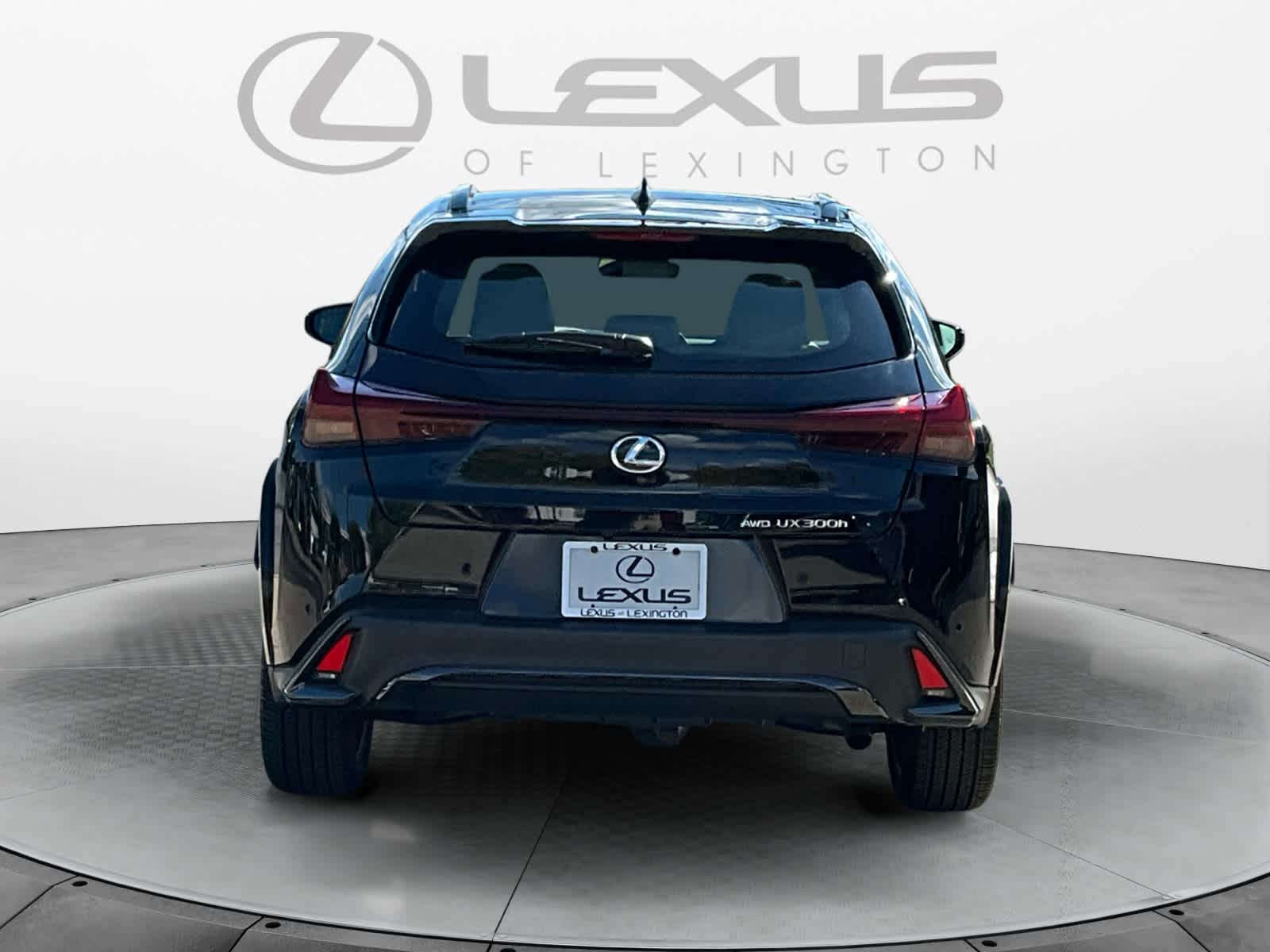 2025 Lexus UX UX 300h F SPORT Design 4