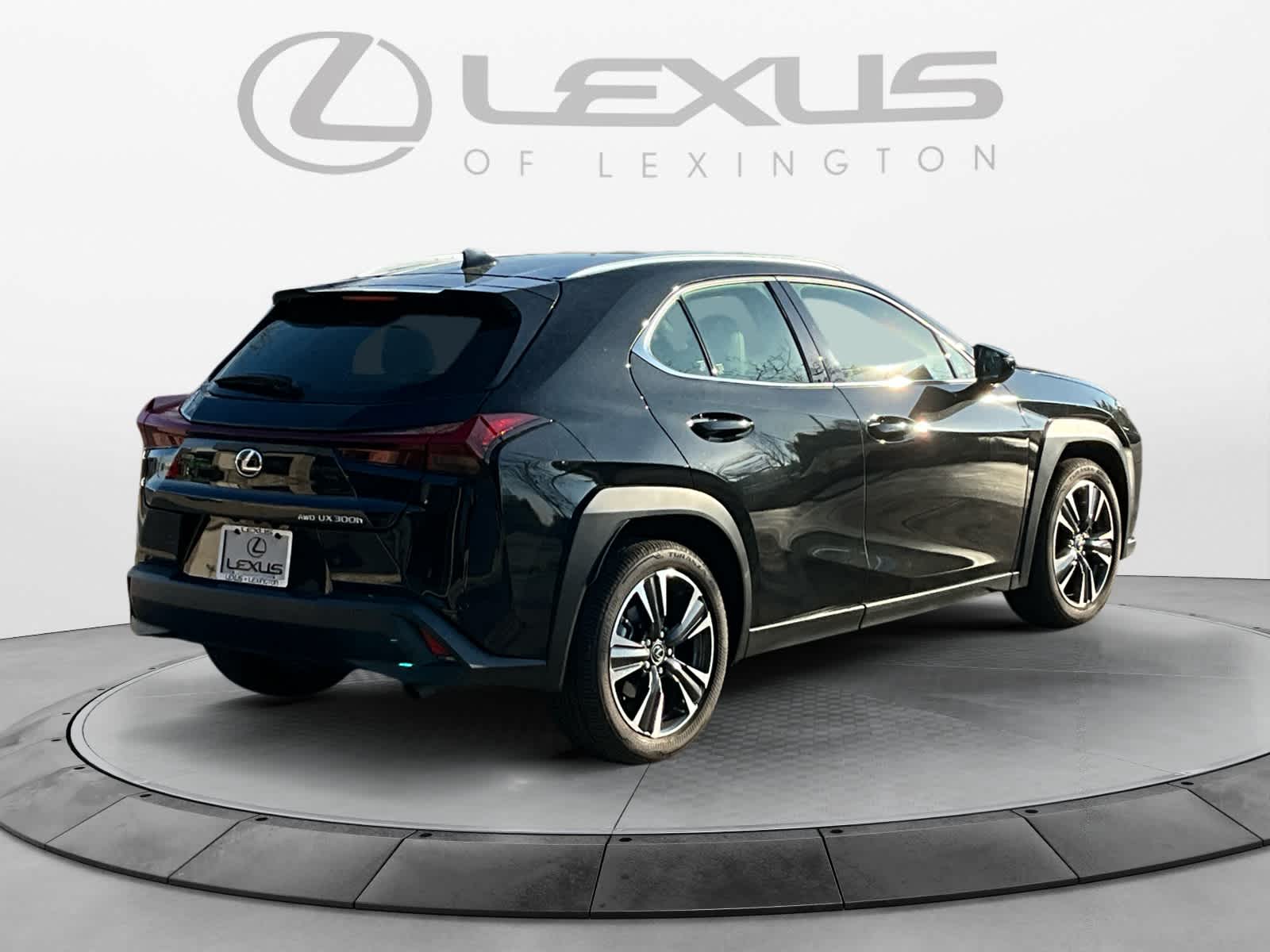 2025 Lexus UX UX 300h 5