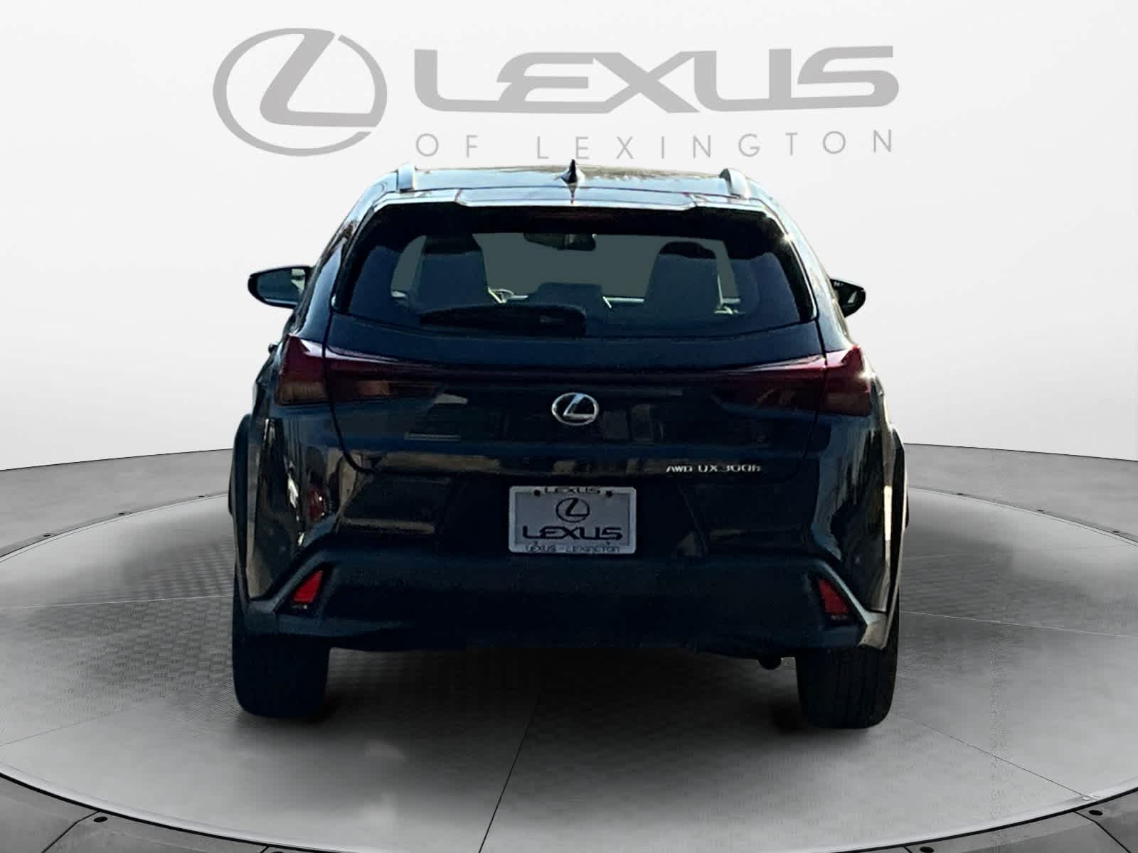 2025 Lexus UX UX 300h 4