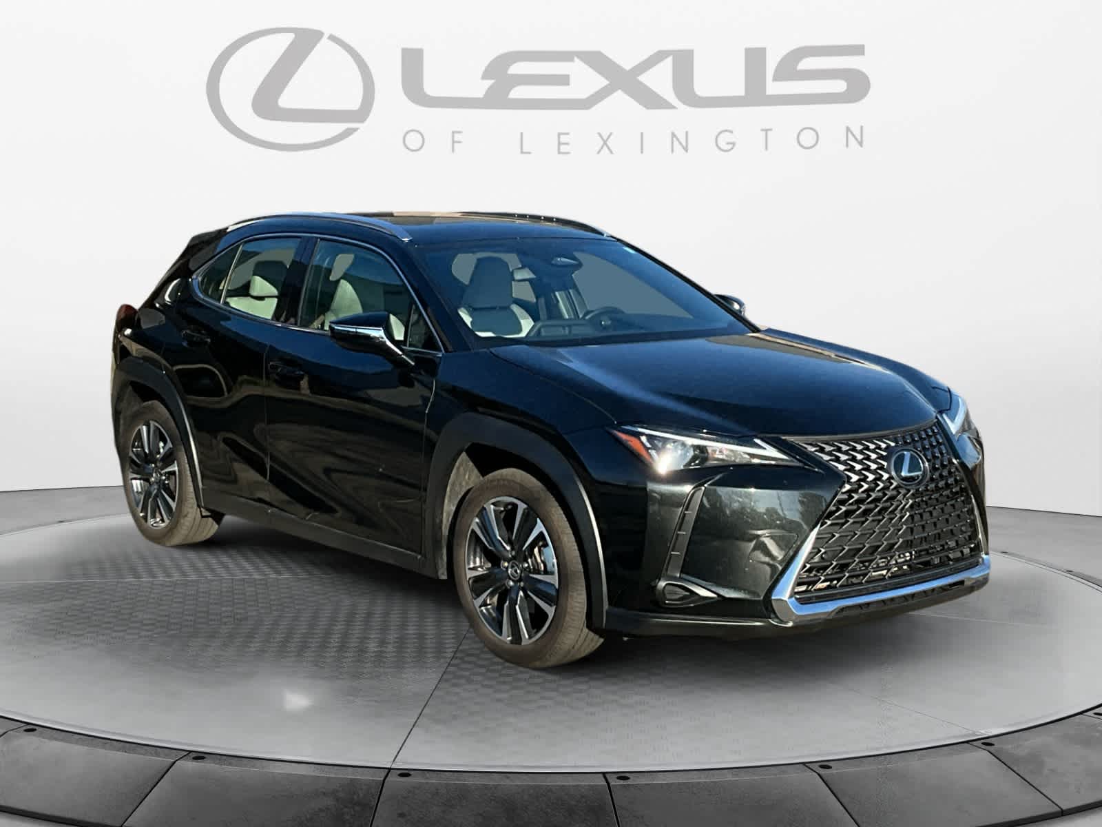 2025 Lexus UX UX 300h 7