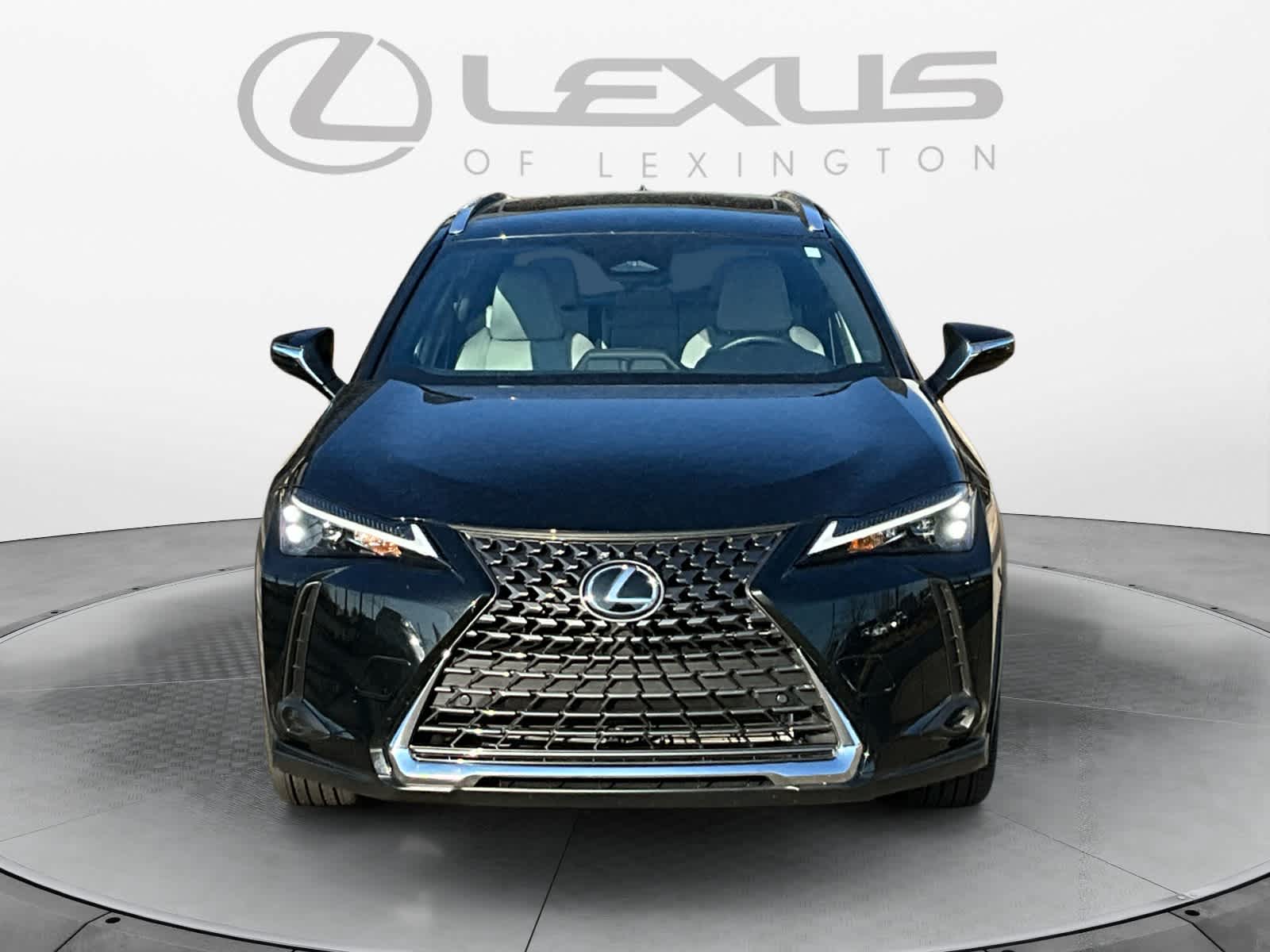 2025 Lexus UX UX 300h 8