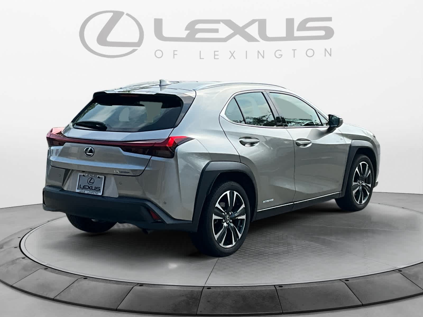 2021 Lexus UX UX 250h 5