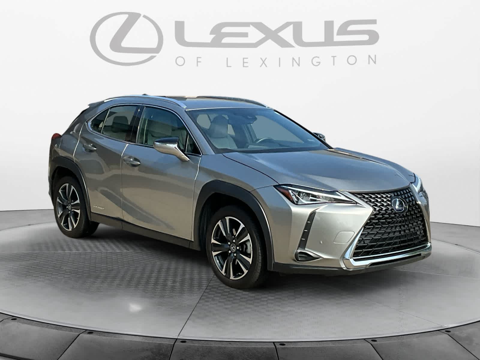 2021 Lexus UX UX 250h 7