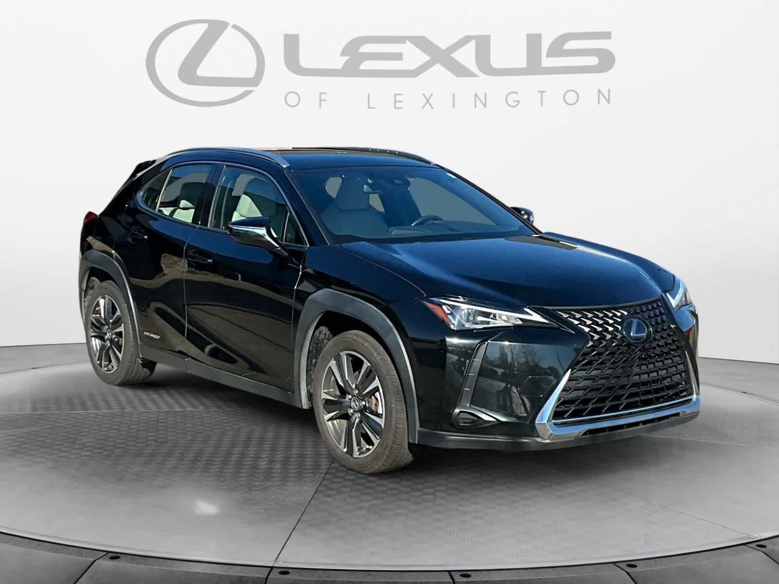 2020 Lexus UX UX 250h 7