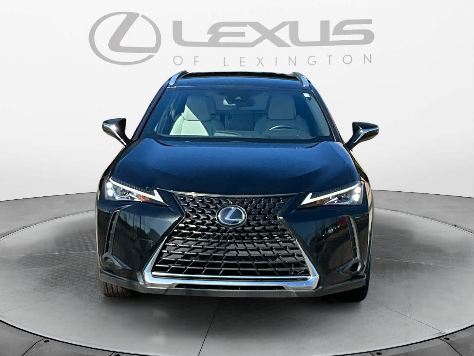 2020 Lexus UX UX 250h 8