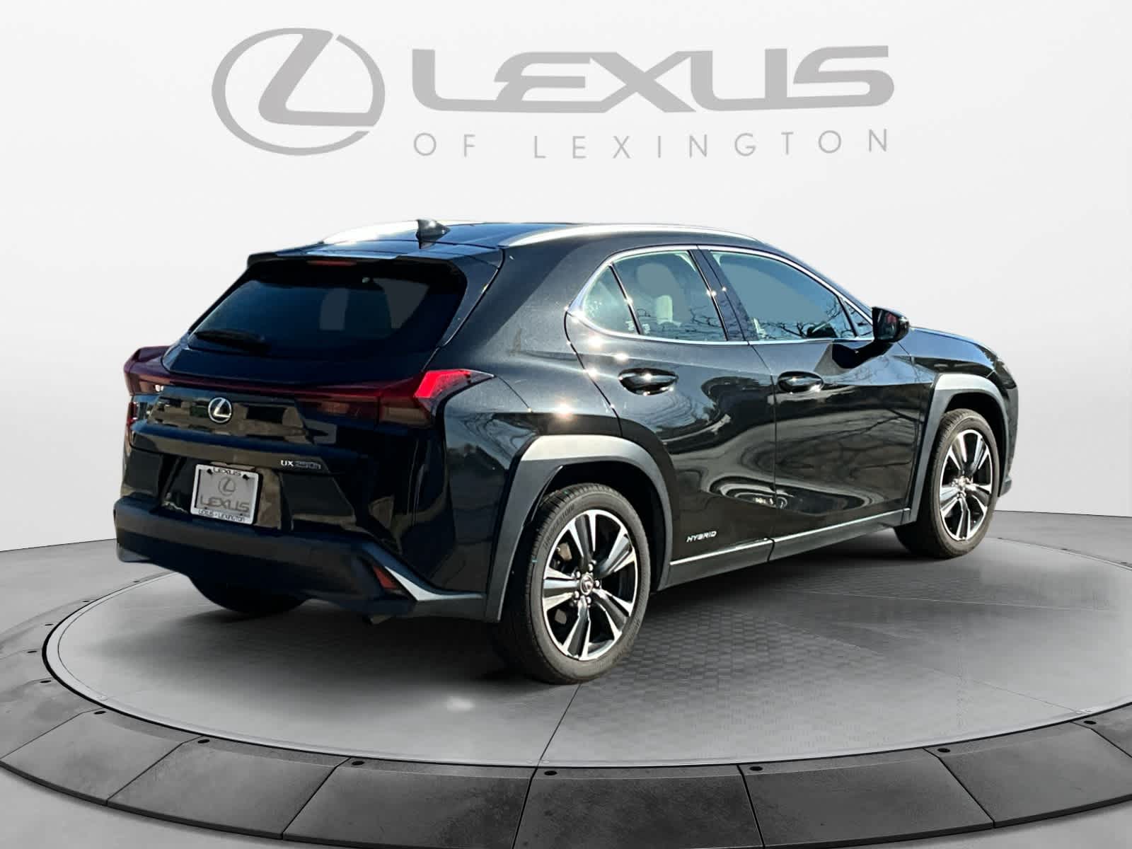 2020 Lexus UX UX 250h 5