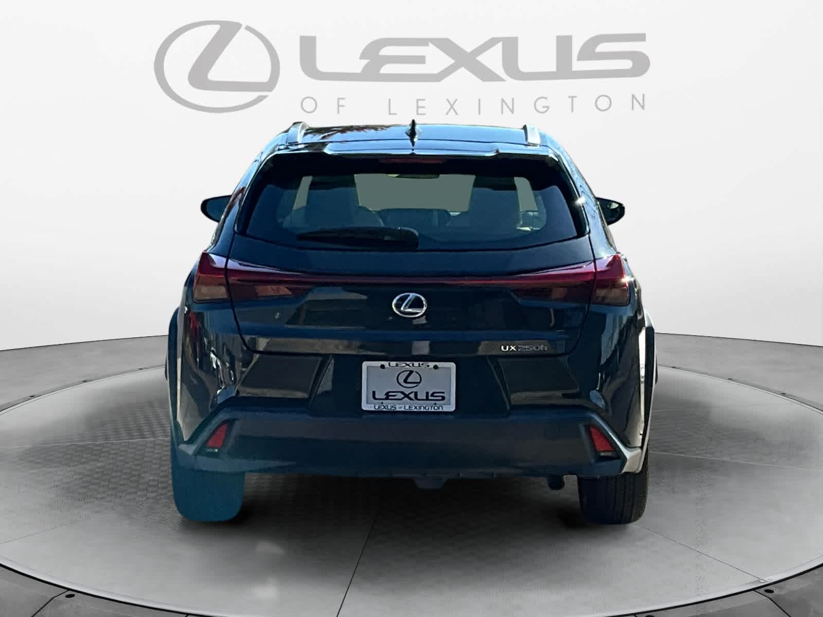 2020 Lexus UX UX 250h 4