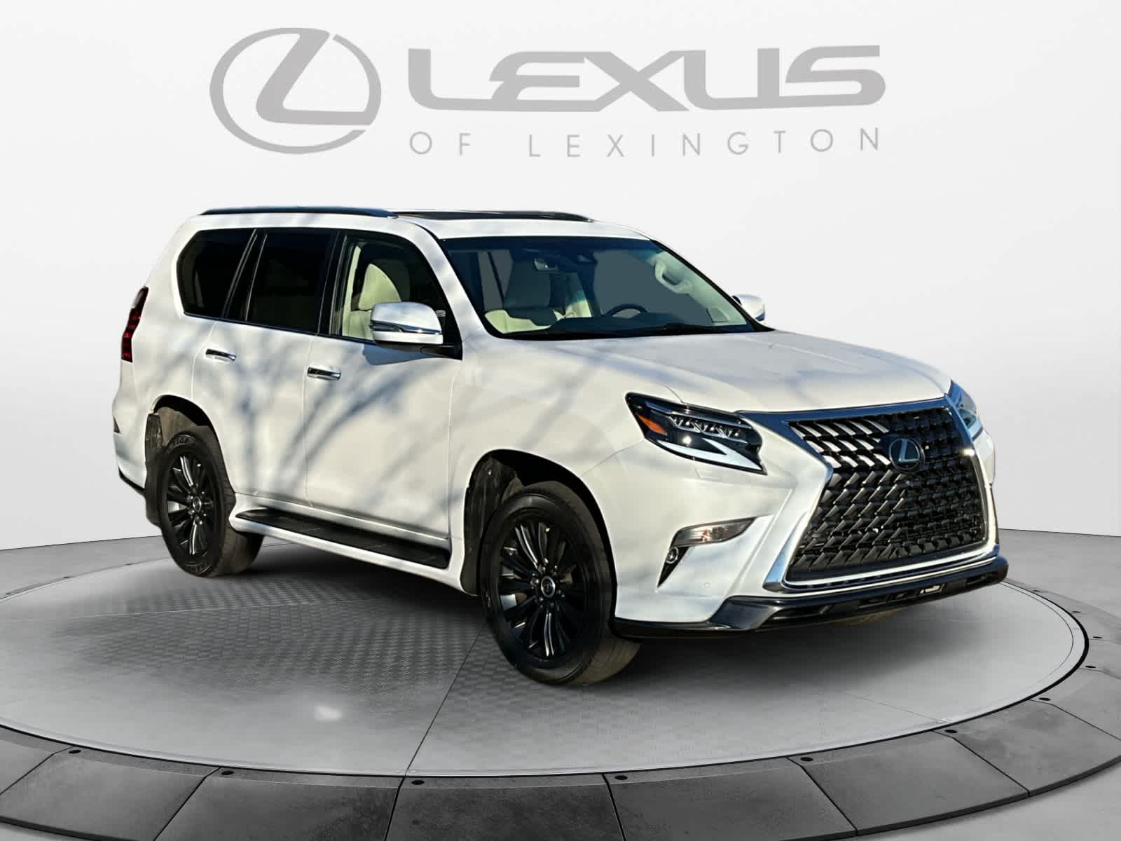 2021 Lexus GX GX 460 Premium 7